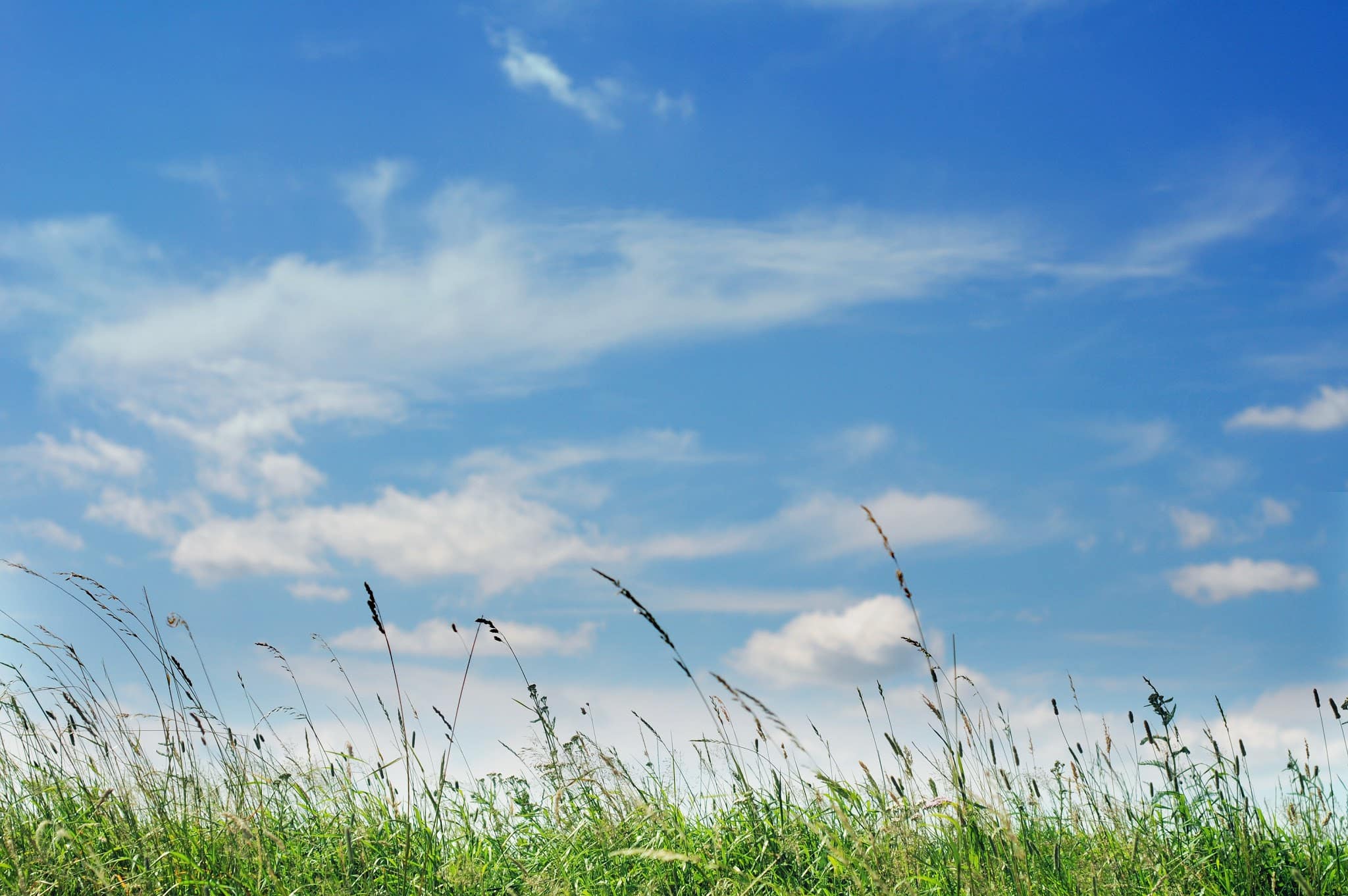 Hudson Valley SPCA - New Windsor, NY