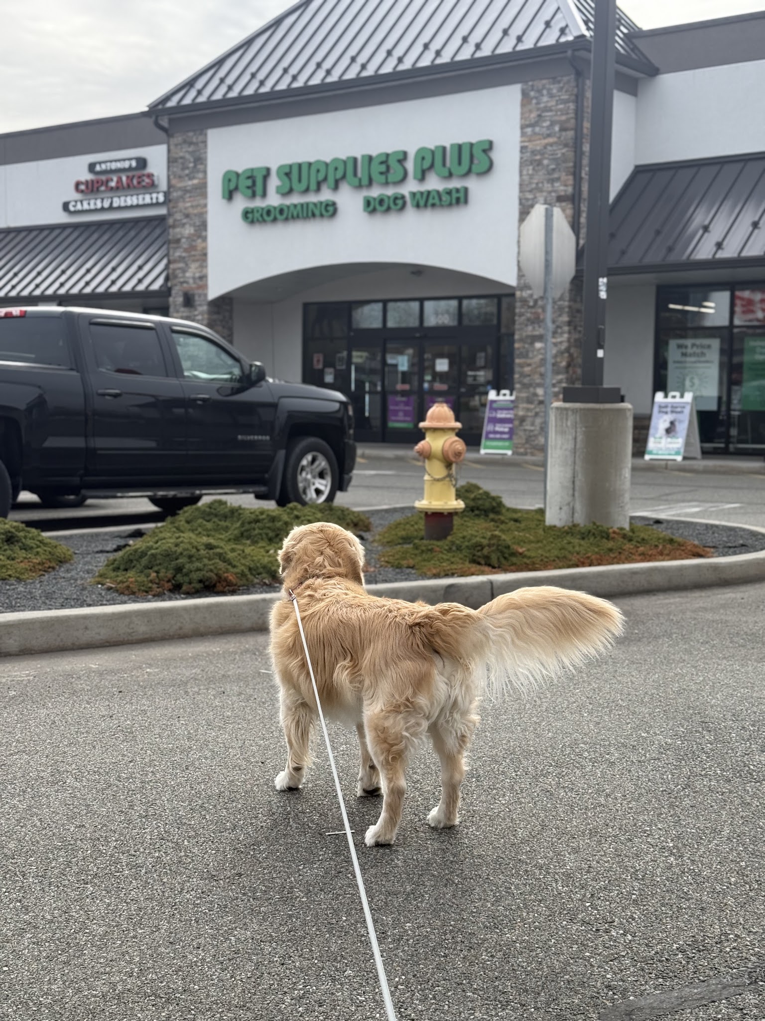 Pet Supplies Plus New Windsor (Vails Gate) - New Windsor, NY