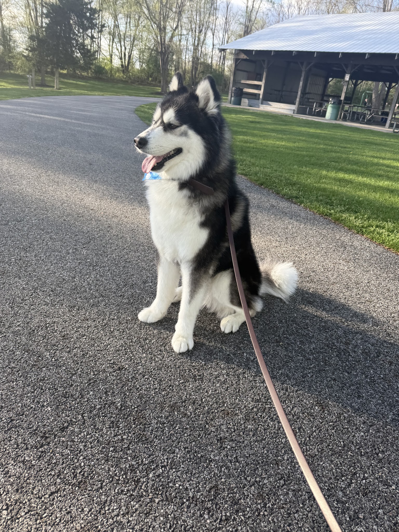 Pet Supplies Plus New Windsor (Vails Gate) - New Windsor, NY