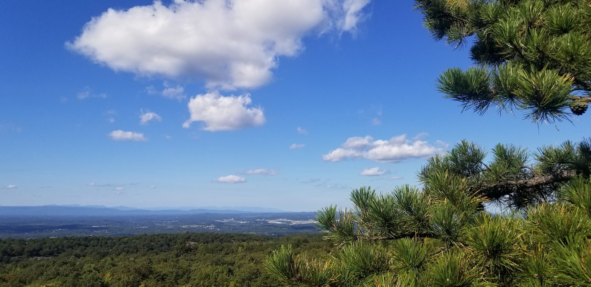 Sharon's Bench - New Windsor, NY