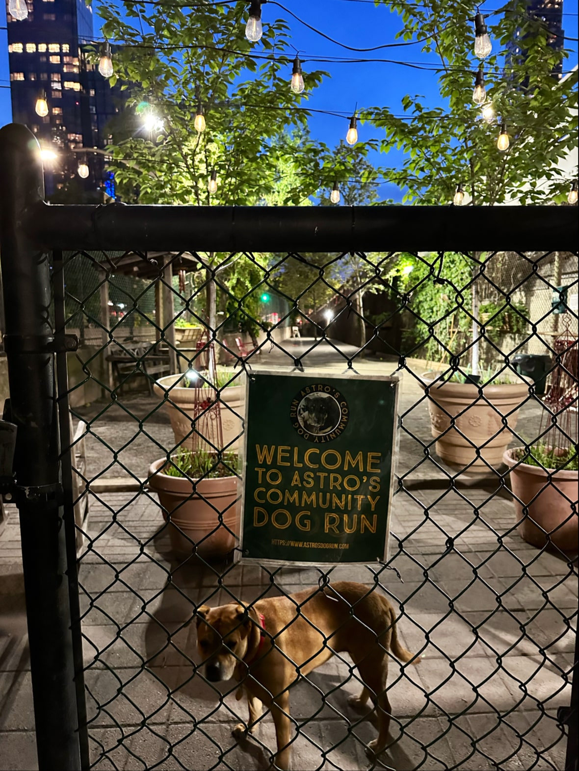 Astro's Community Dog Run - New York, NY