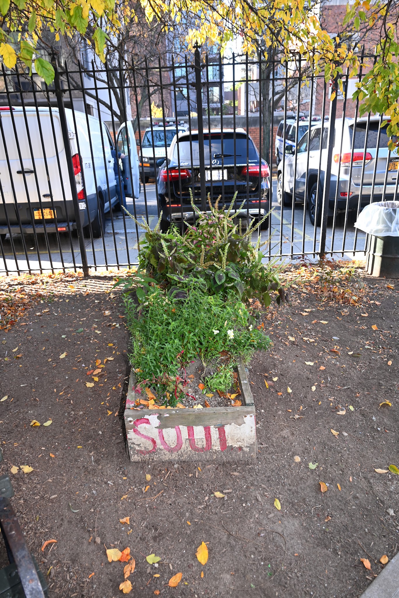 Detective Omar Edwards Park - New York, NY