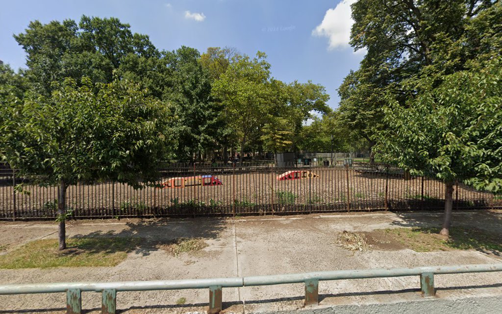 Dog Park - New York, NY