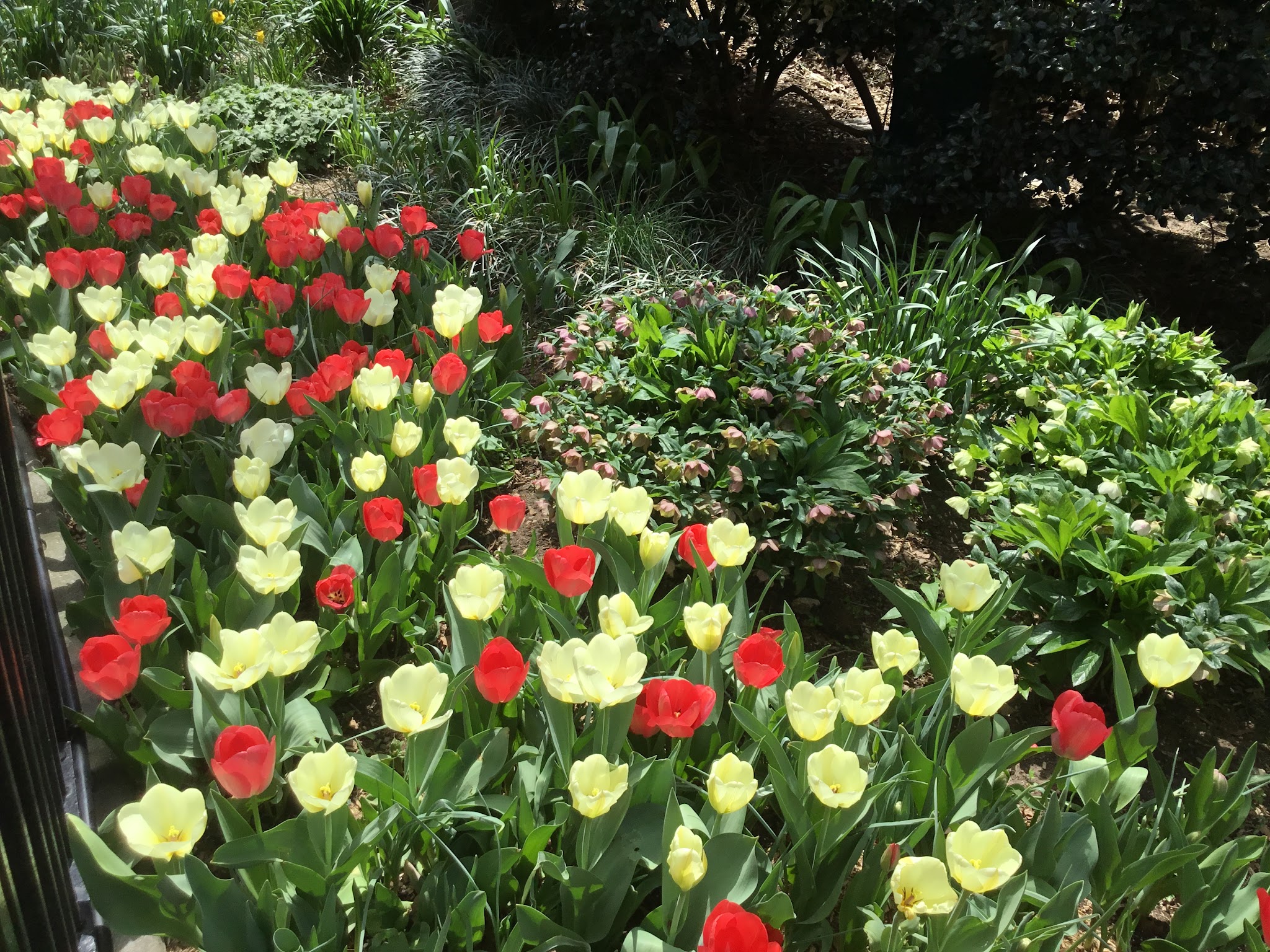 Duane Park - New York, NY