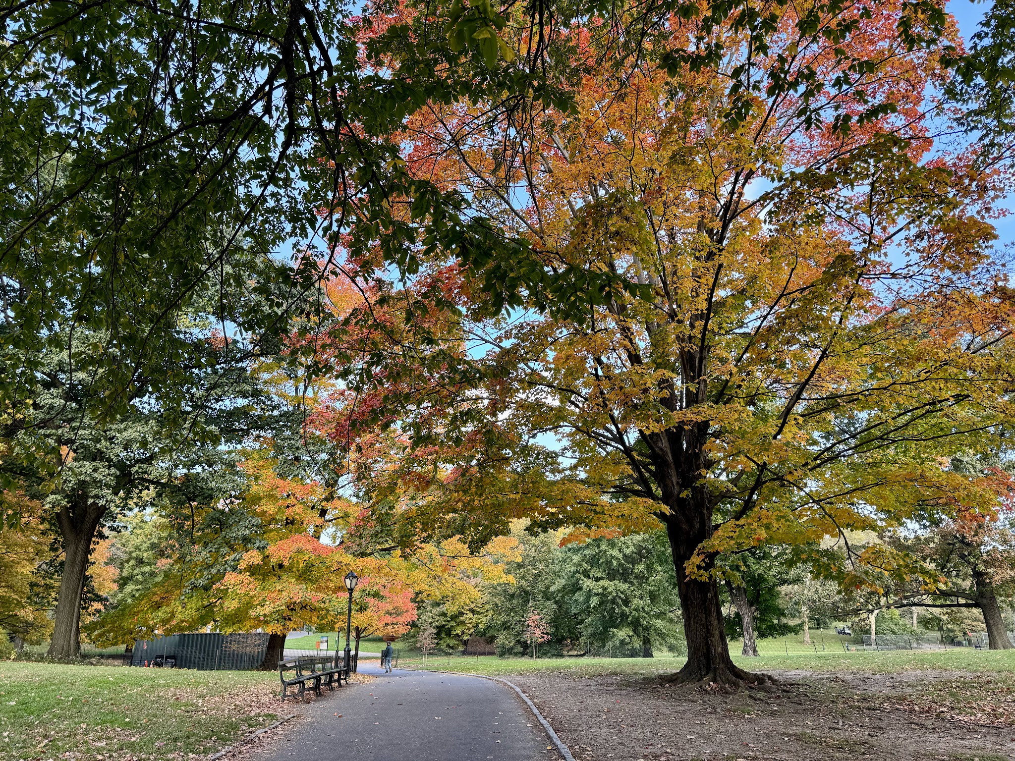 East Meadow - New York, NY