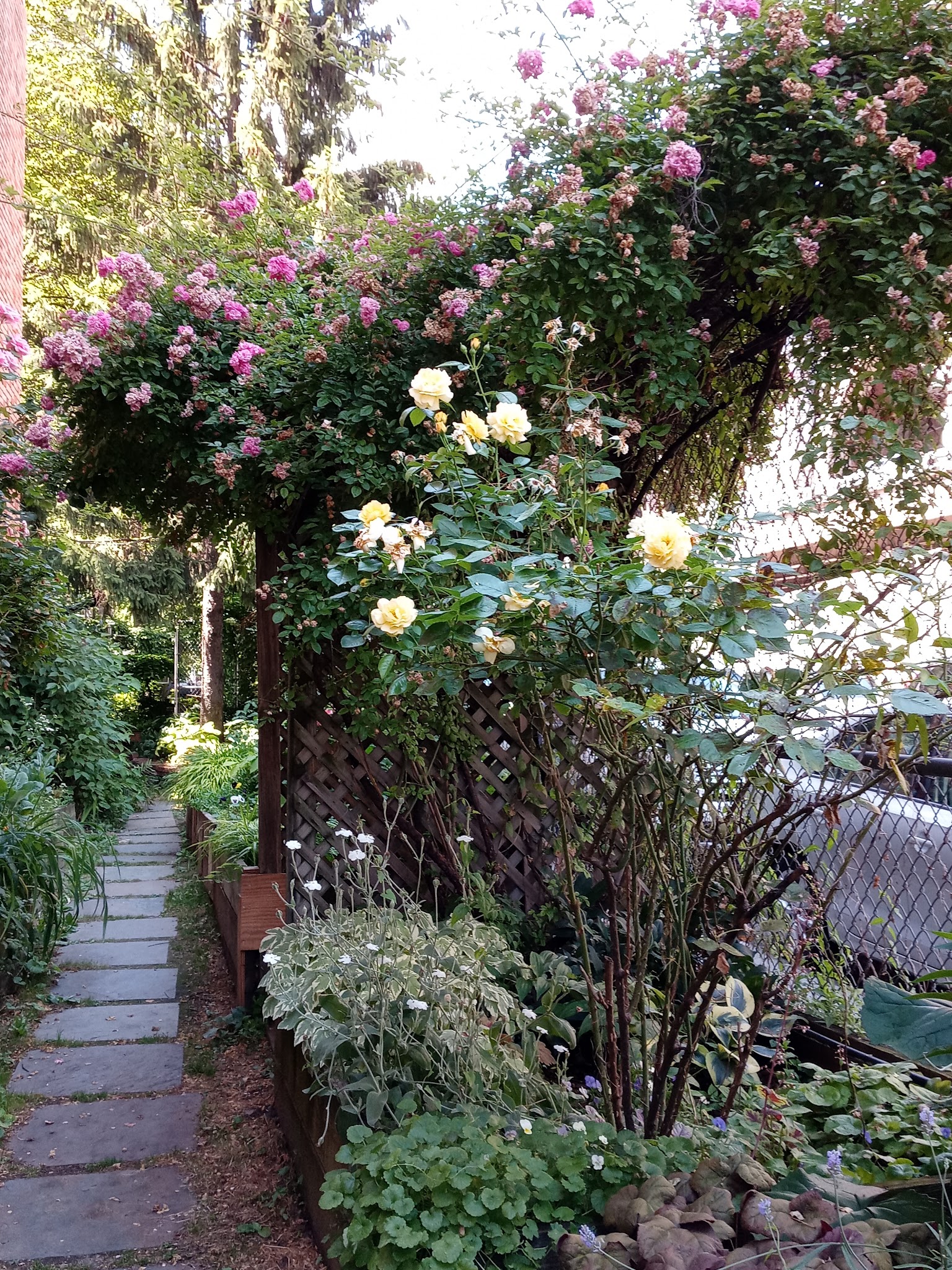 FishBridge Park Garden - New York, NY