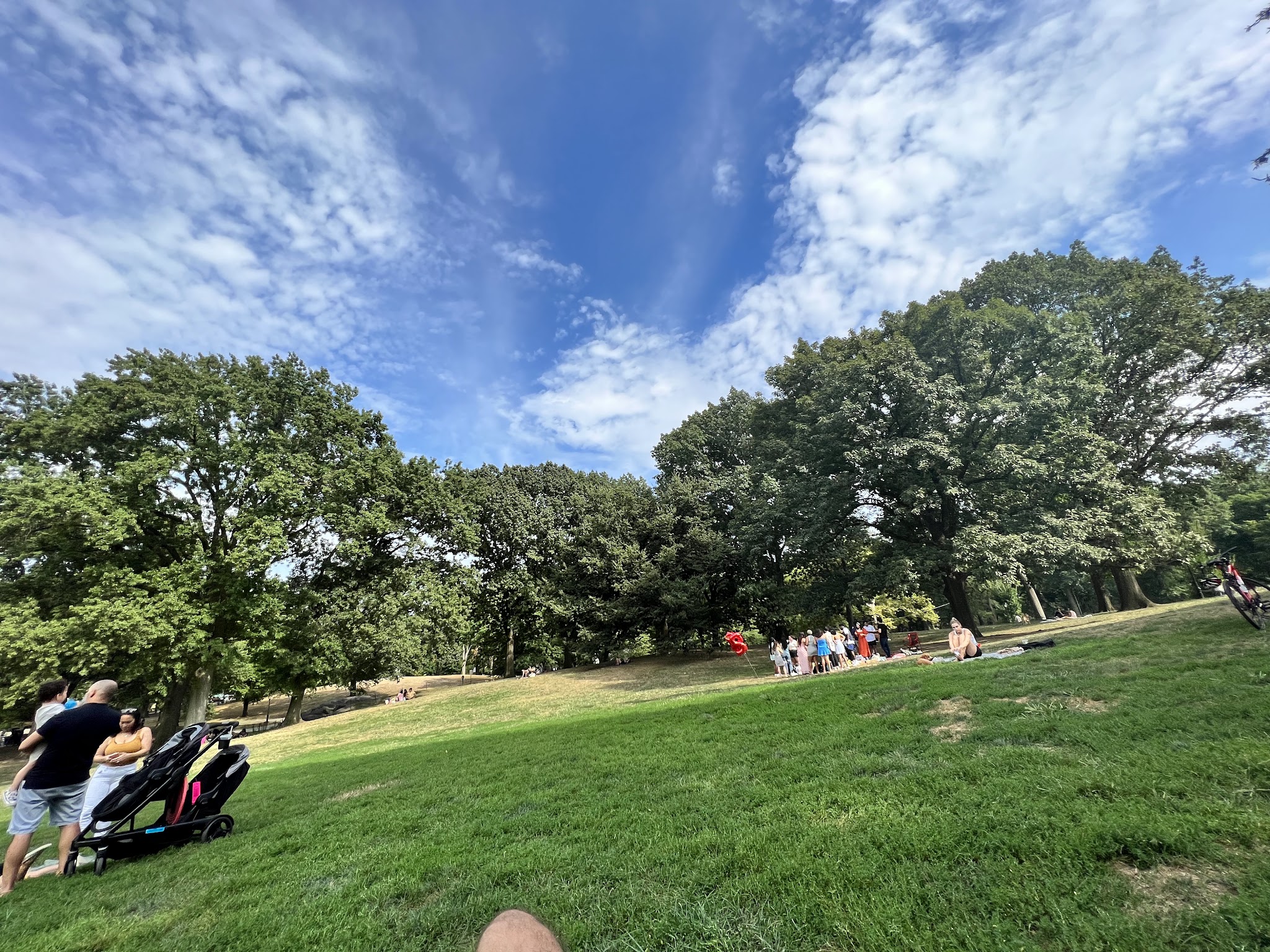 Frisbee Hill - New York, NY