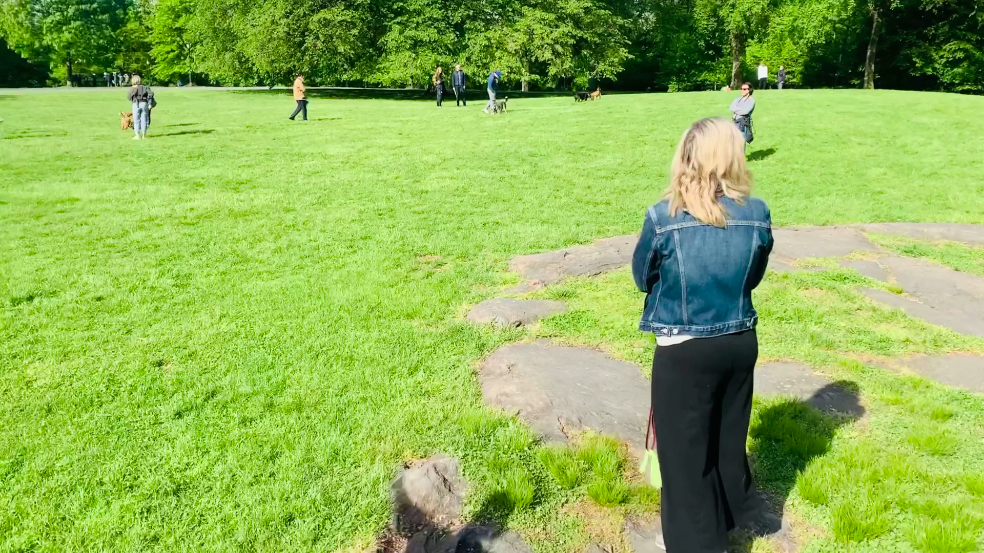 Great Hill - New York, NY