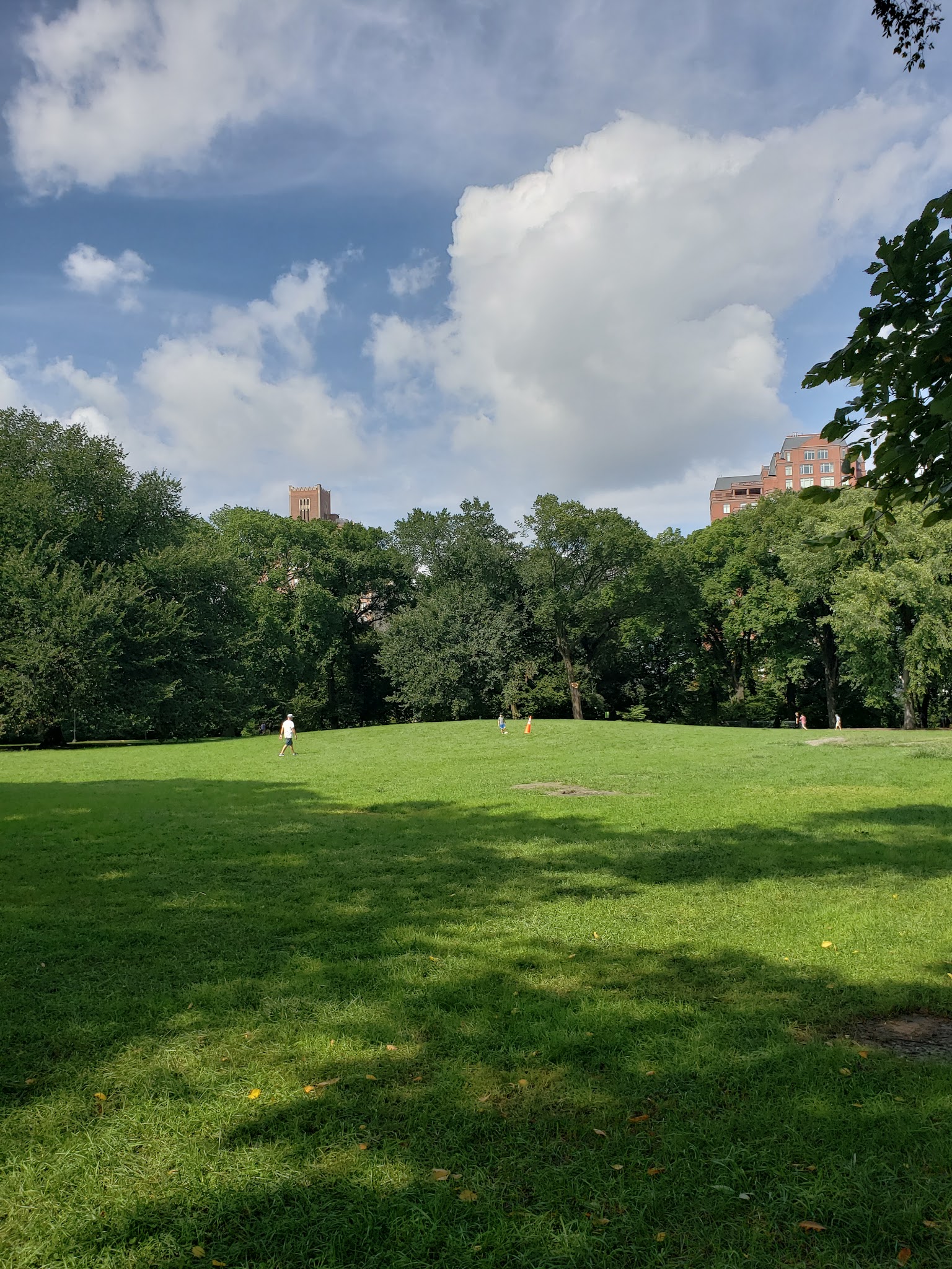 Great Hill - New York, NY