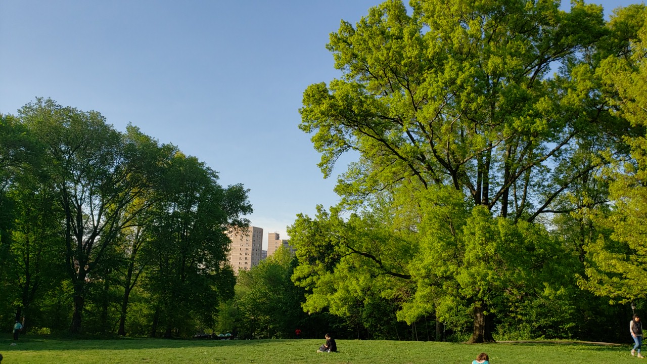 Great Hill - New York, NY