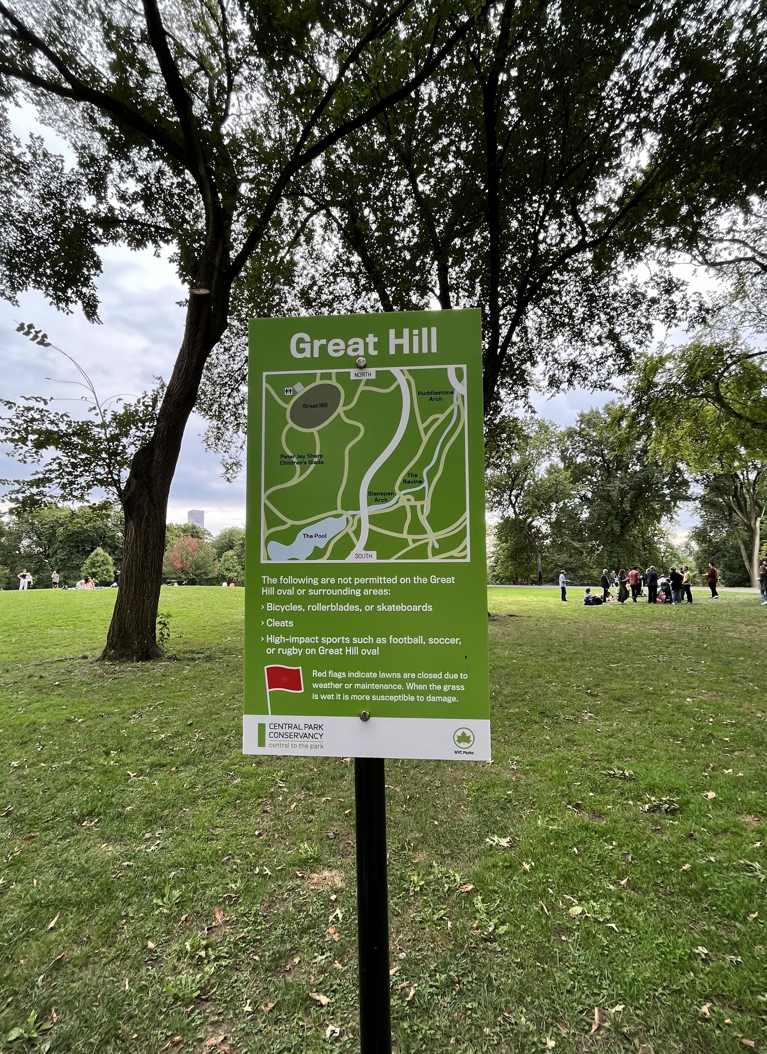 Great Hill - New York, NY