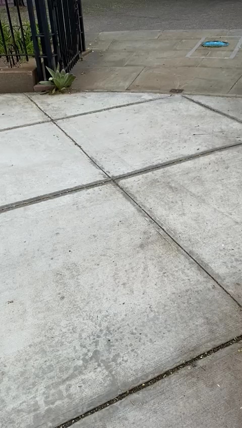 Hudson Park - New York, NY