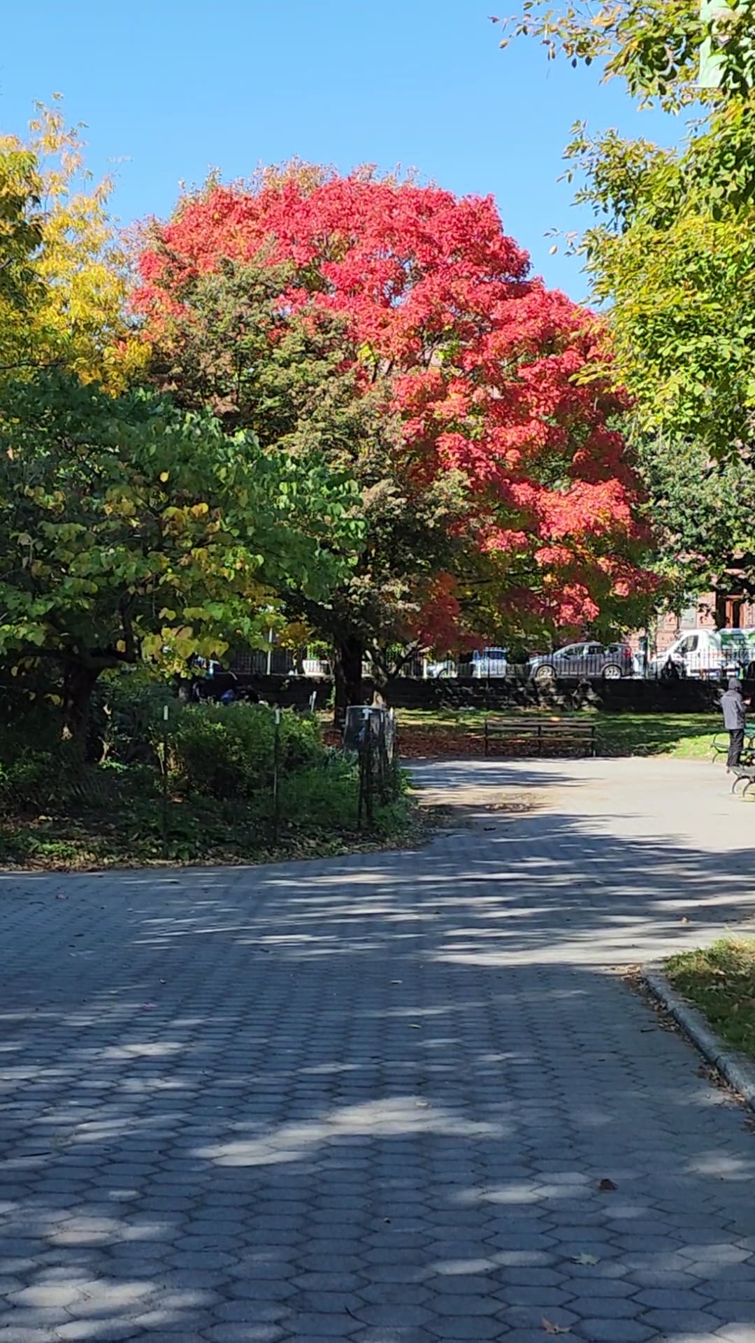 Marcus Garvey Park - New York, NY