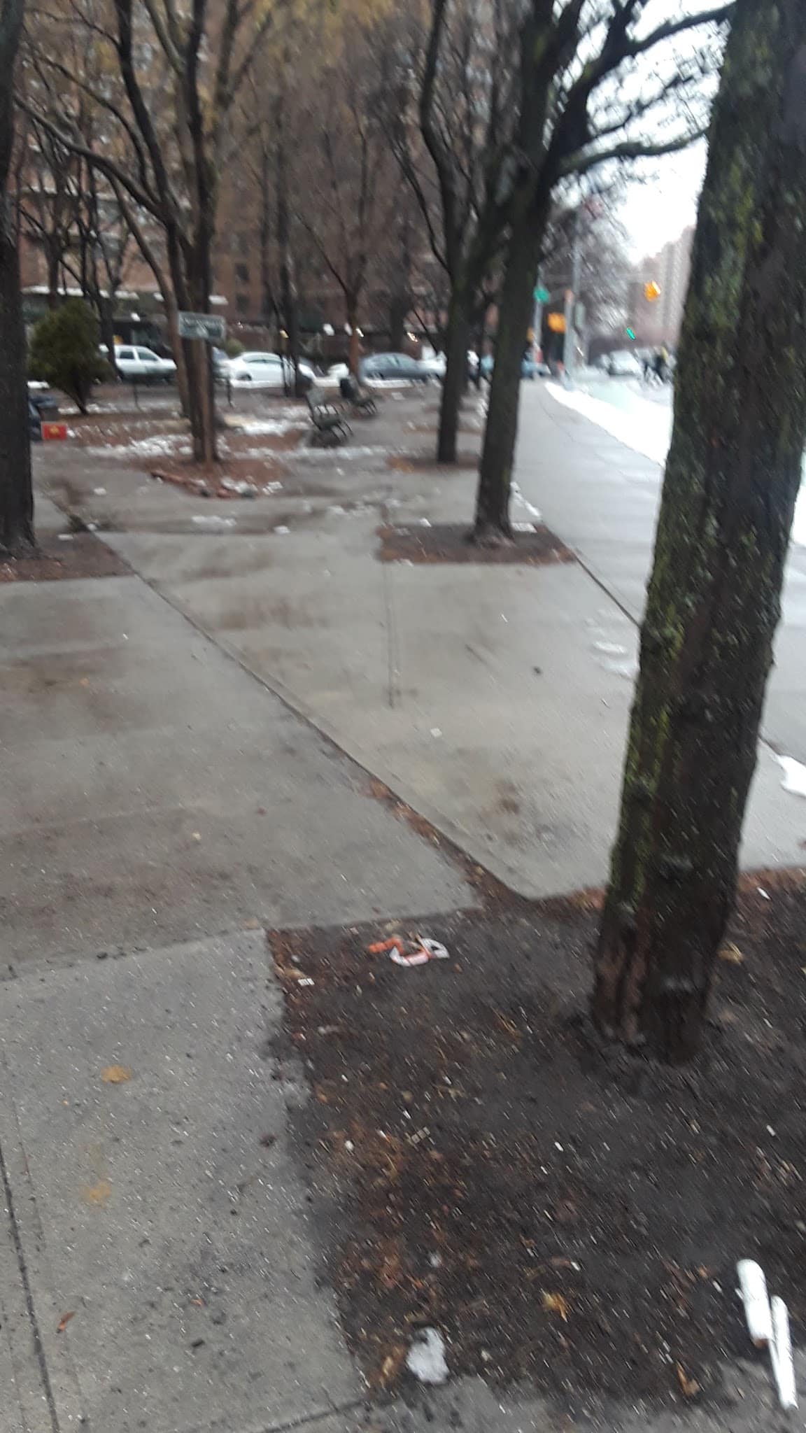 Montgomery Triangle Park - New York, NY