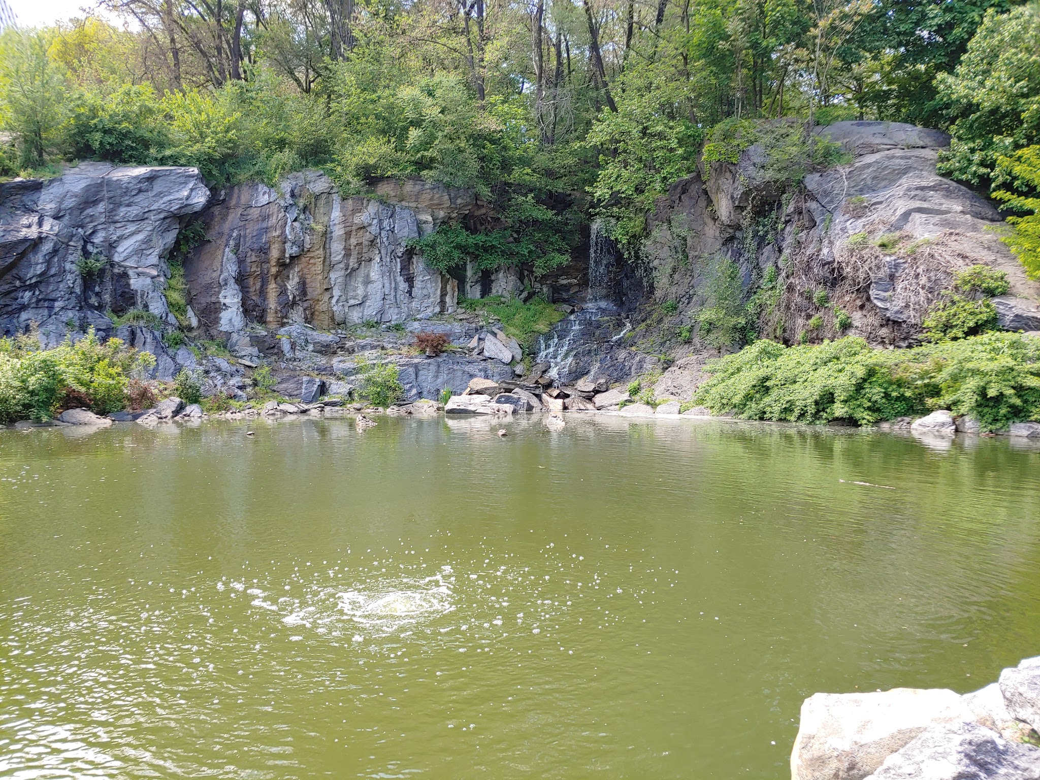 Morningside Waterfall - New York, NY