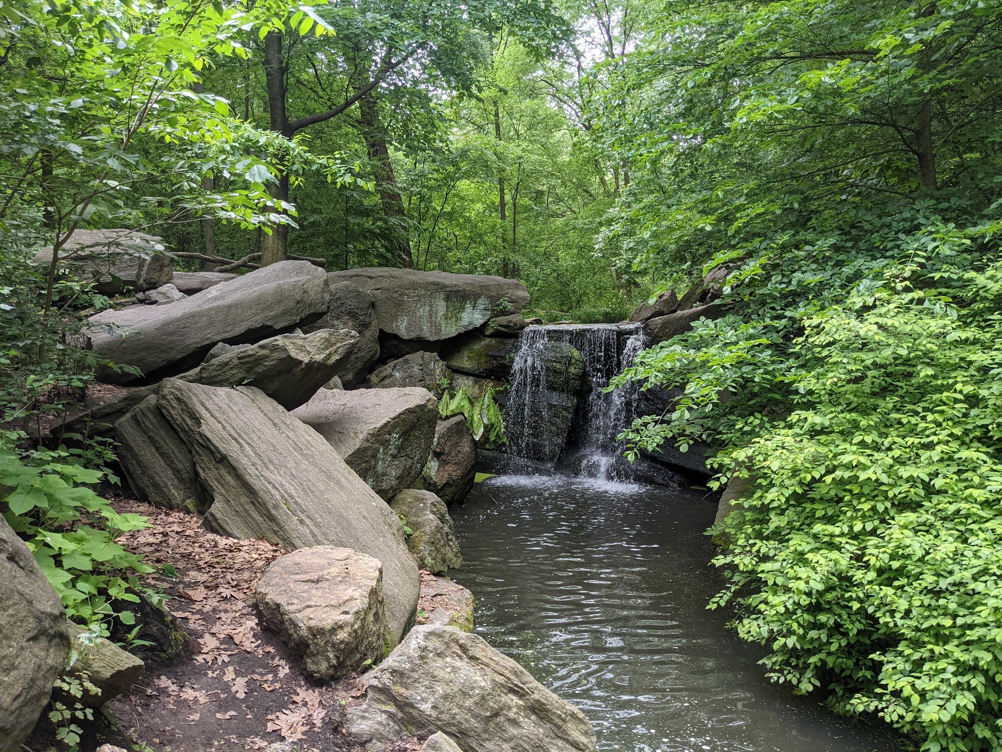 North Woods - New York, NY