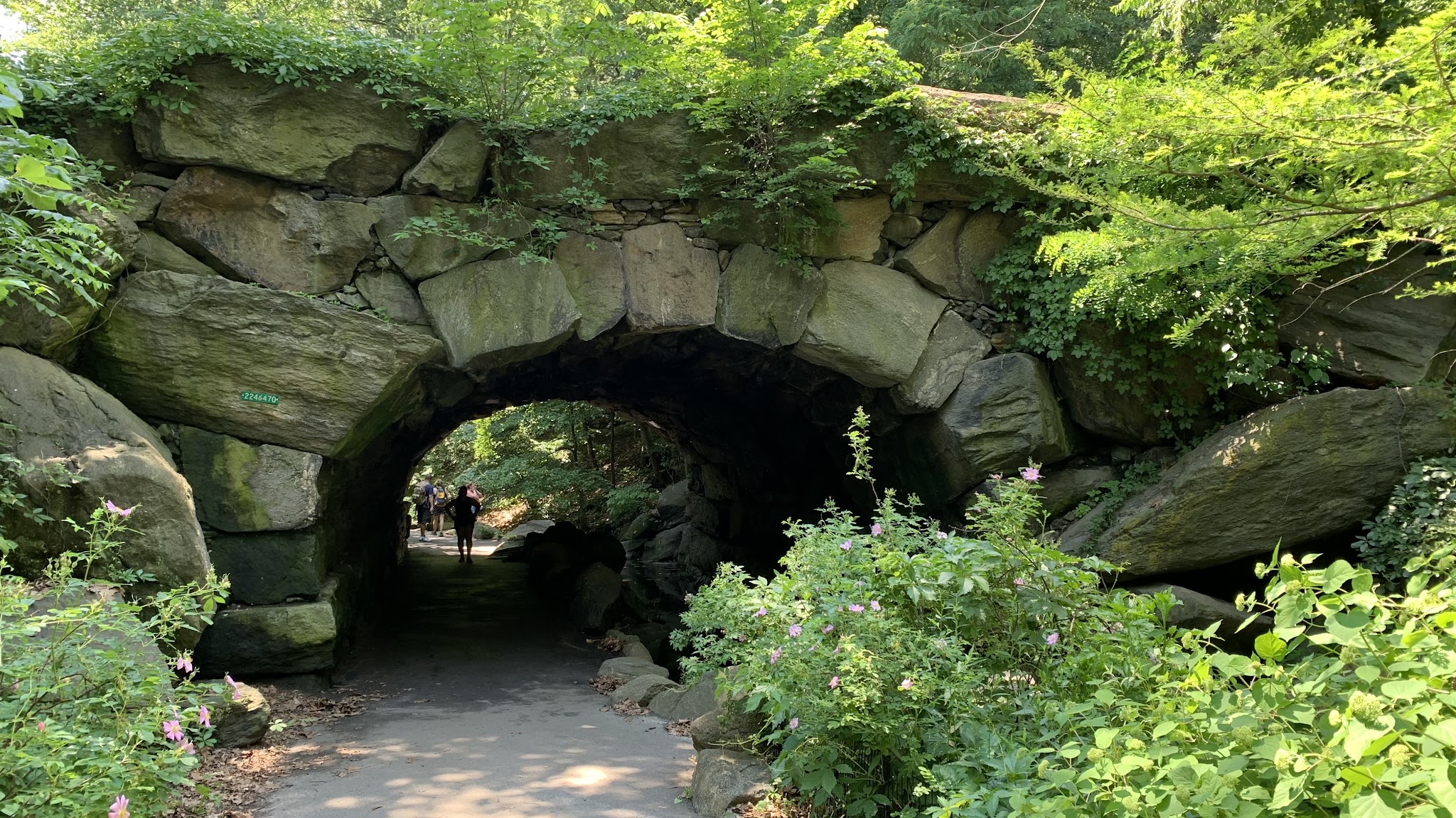 North Woods - New York, NY