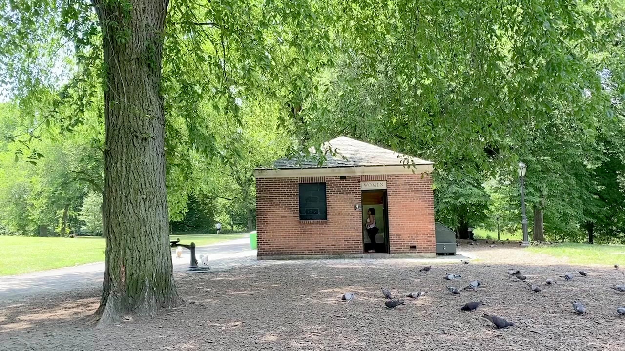 North Woods - New York, NY