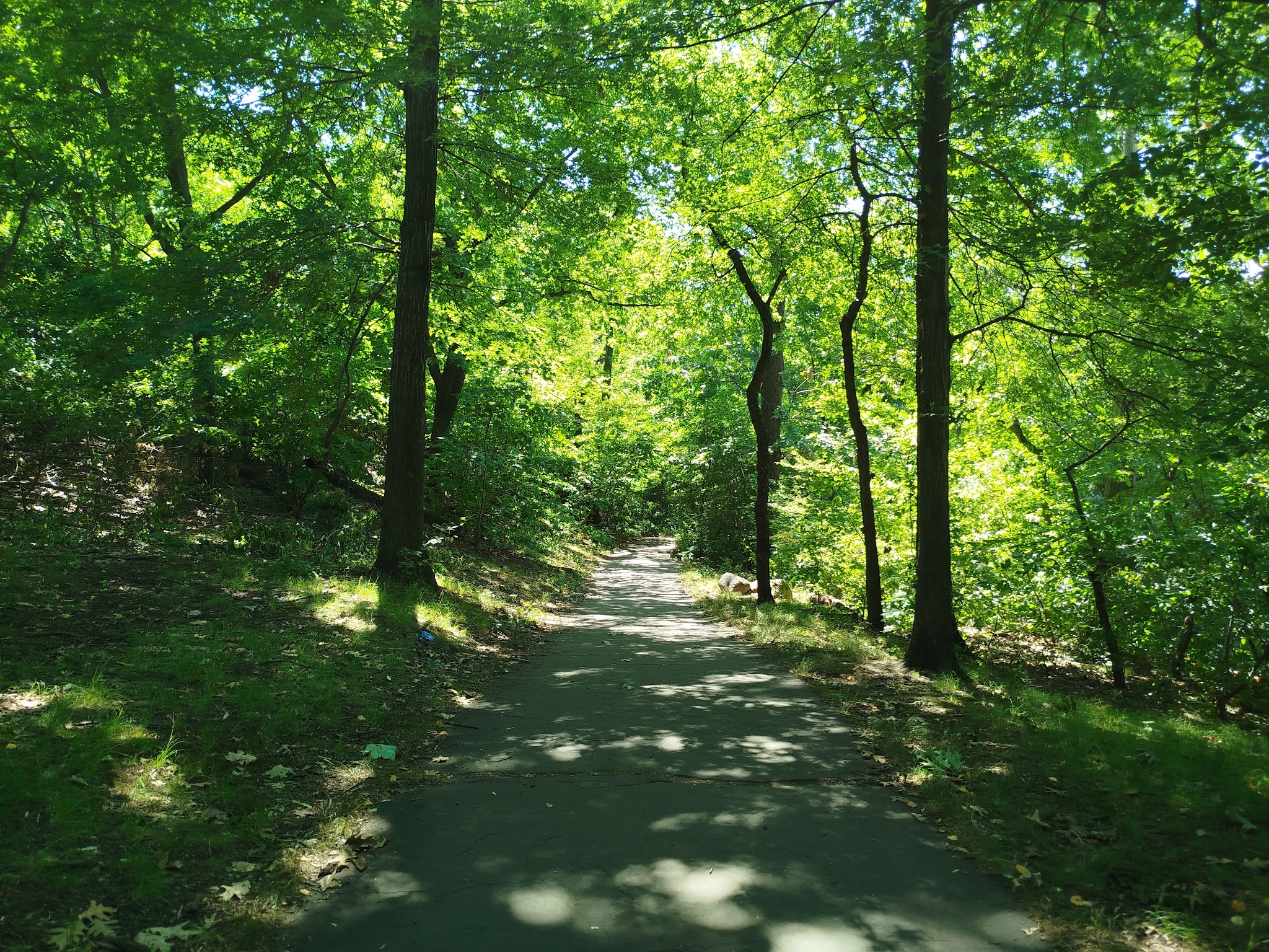North Woods - New York, NY