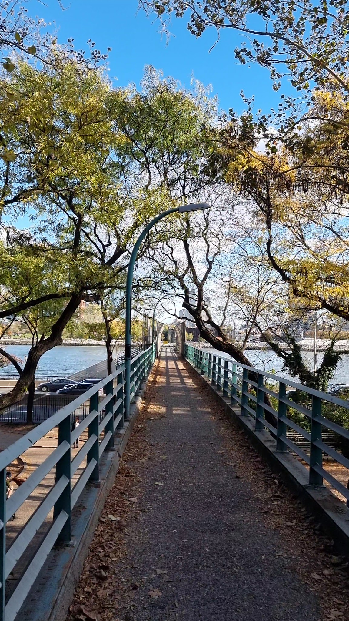 Peter Detmold Dog Run - New York, NY