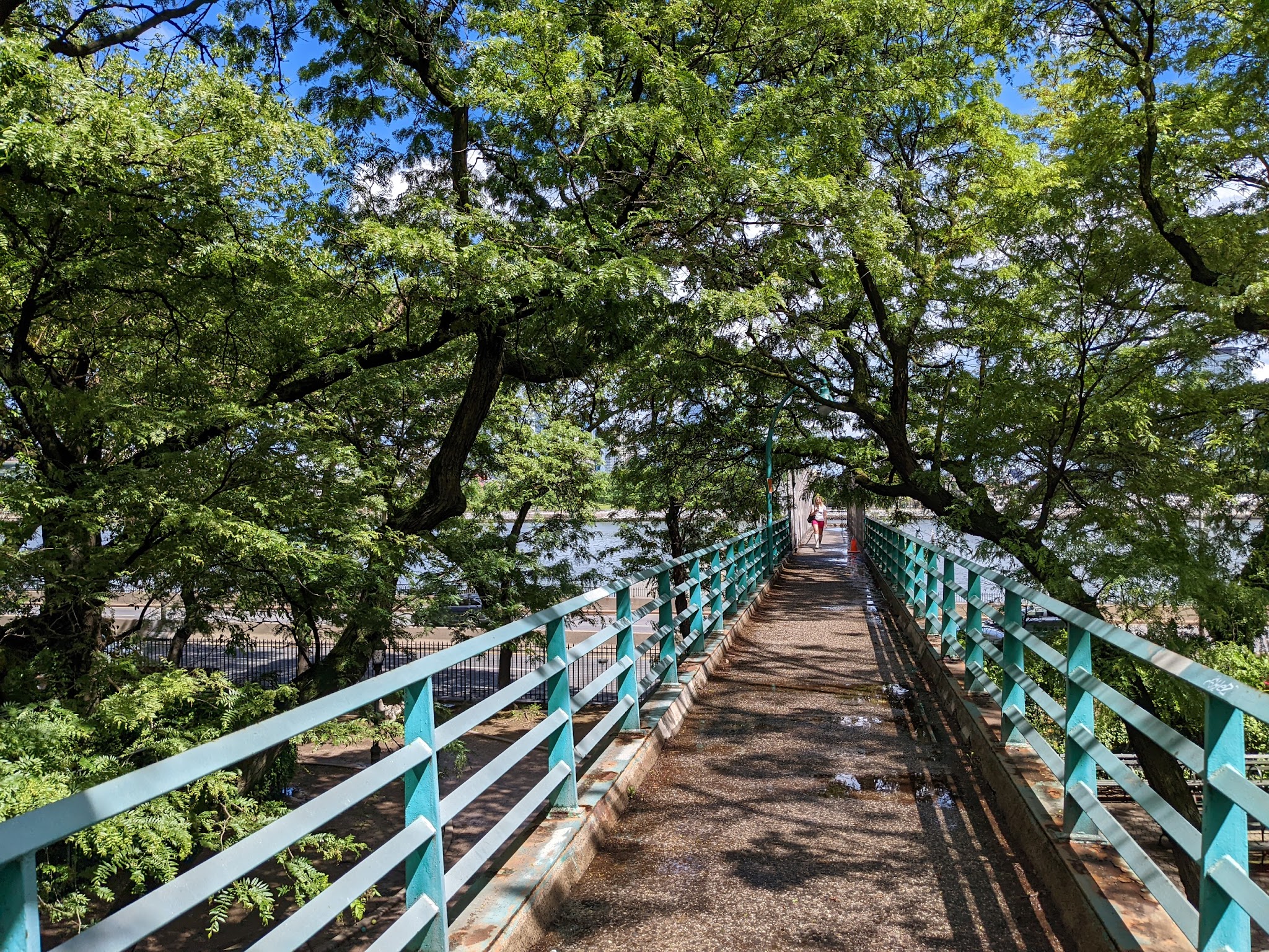 Peter Detmold Dog Run - New York, NY