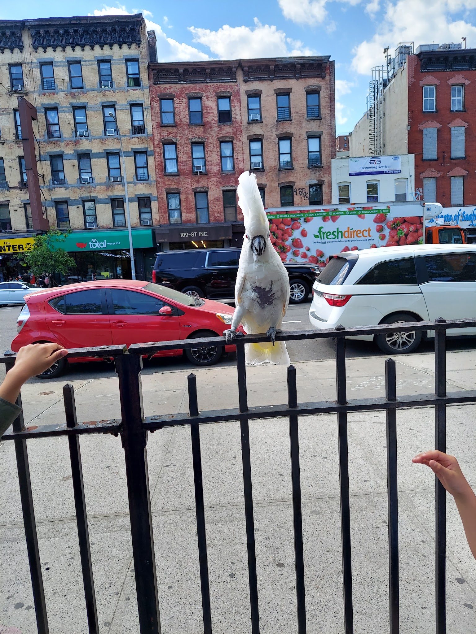 Poor Richard's Playground - New York, NY