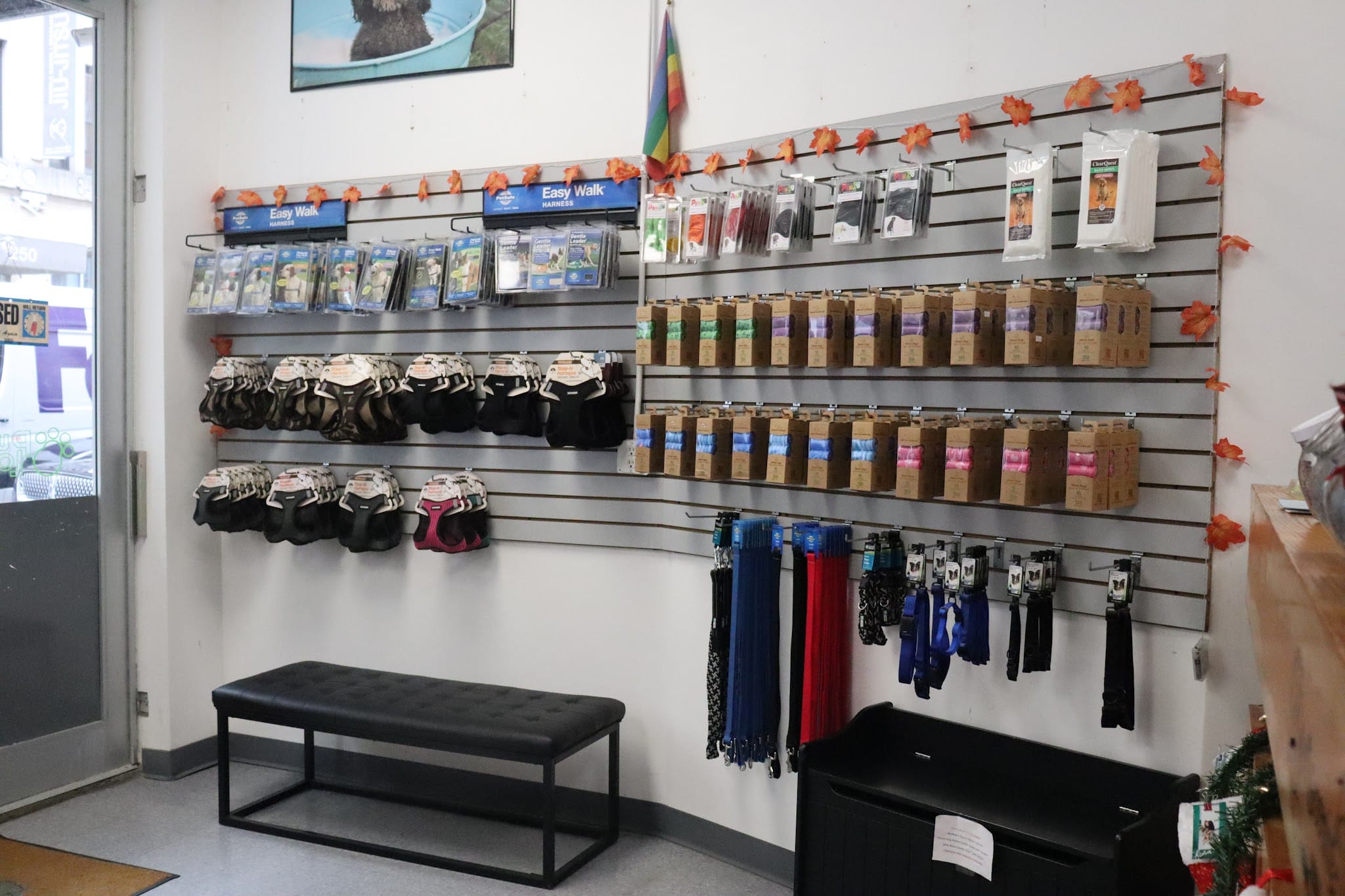 Puppy Loft - New York, NY