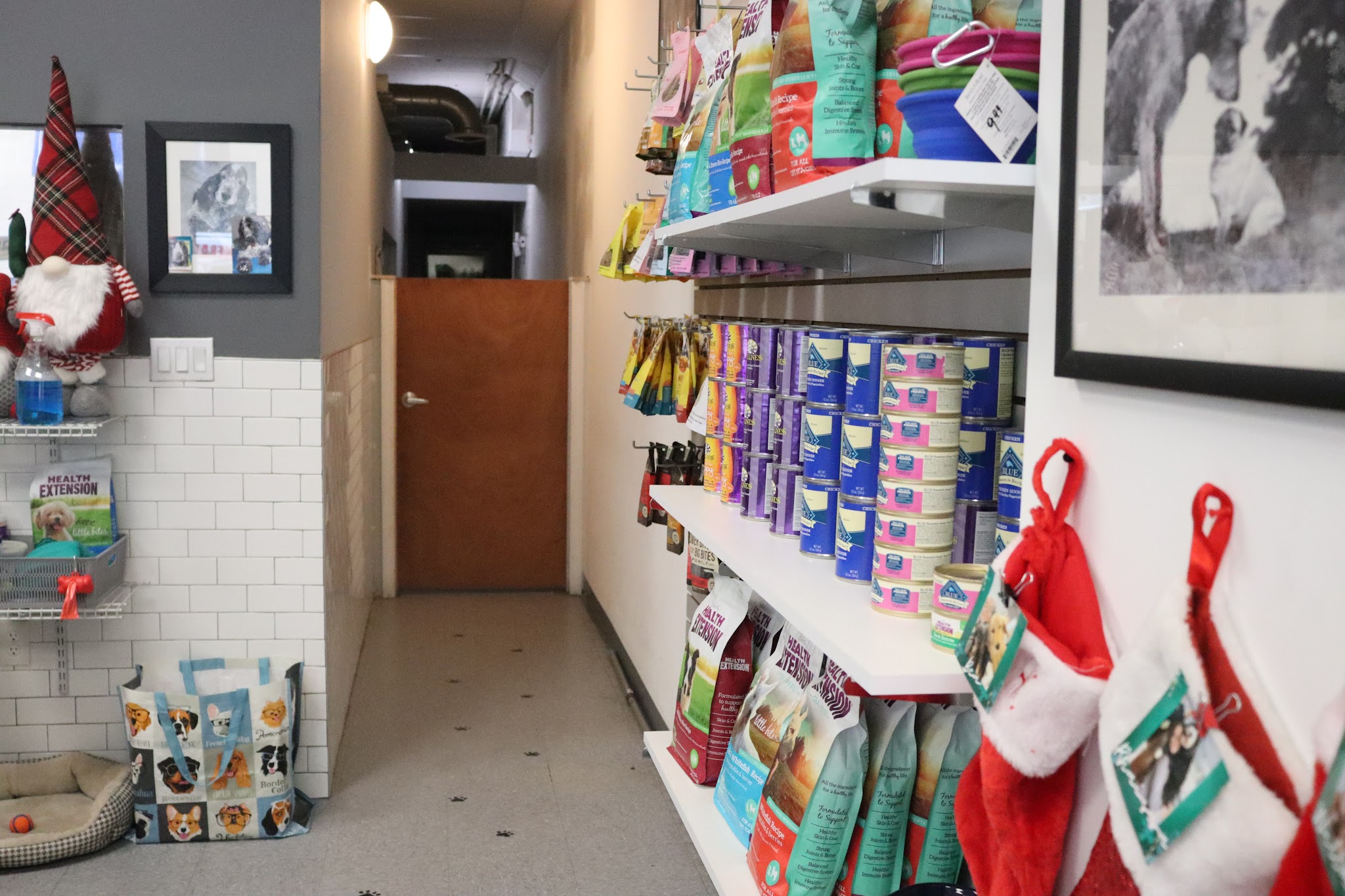 Puppy Loft - New York, NY