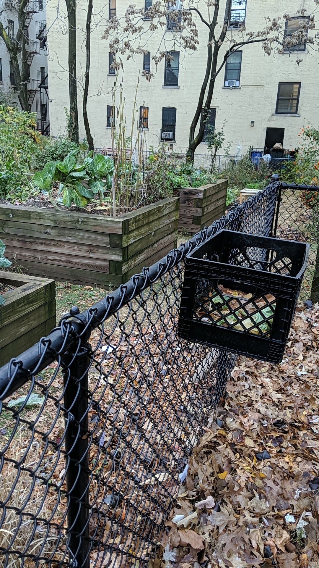 Robert L. Clinkscales Playground and Community Garden - New York, NY