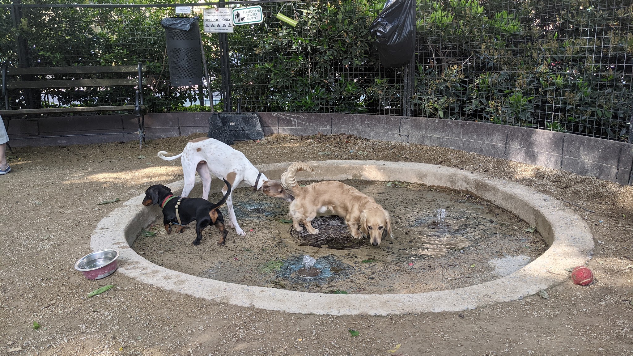 Robin Kovary Dog Run for Small Dogs - New York, NY