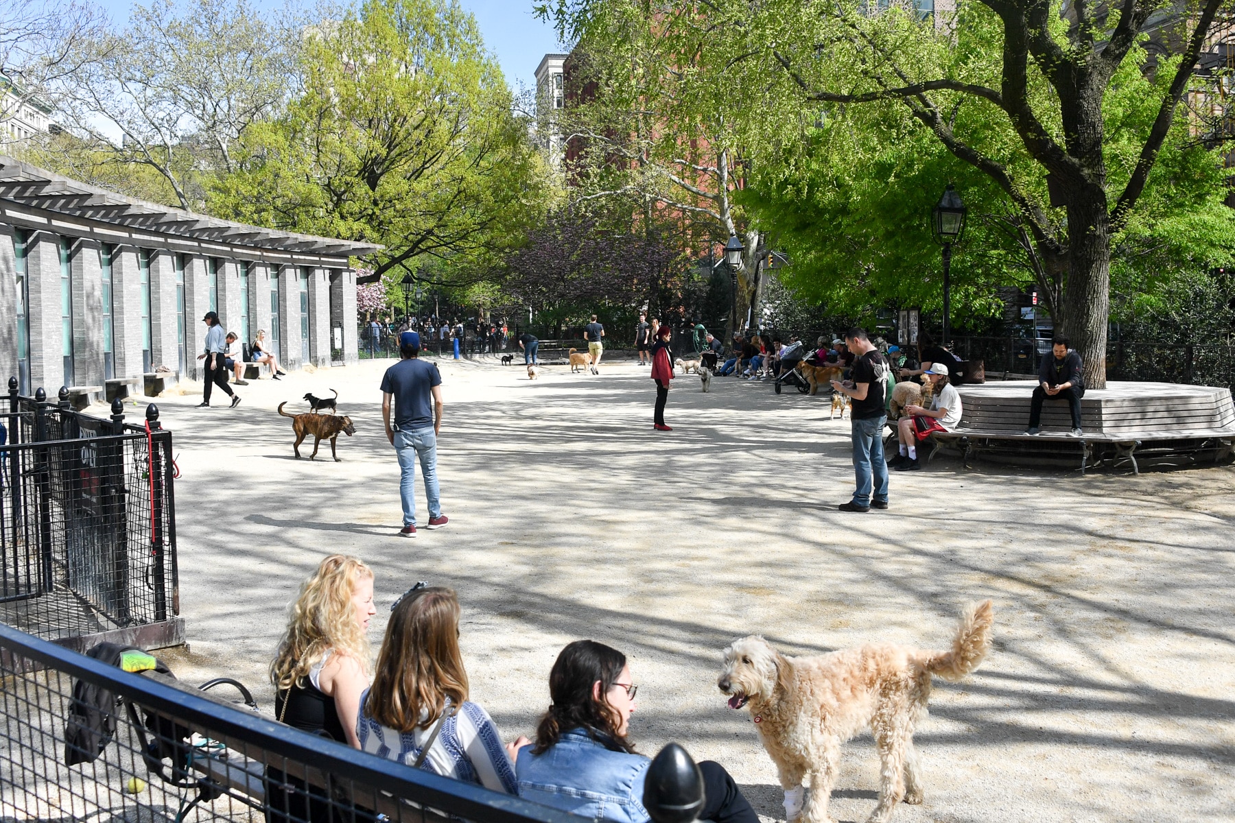 Robin Kovary Dog Run for Small Dogs - New York, NY