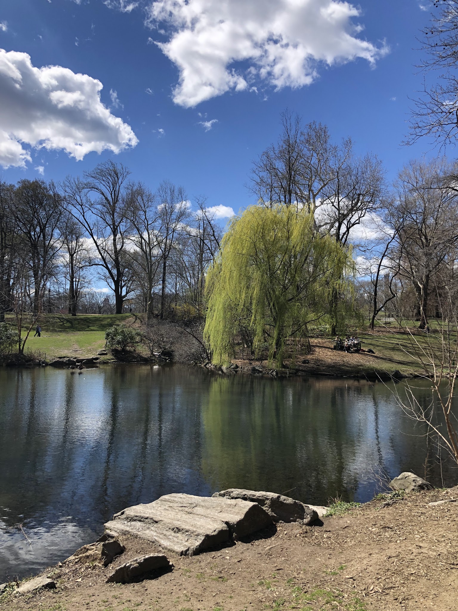 The Loch - New York, NY