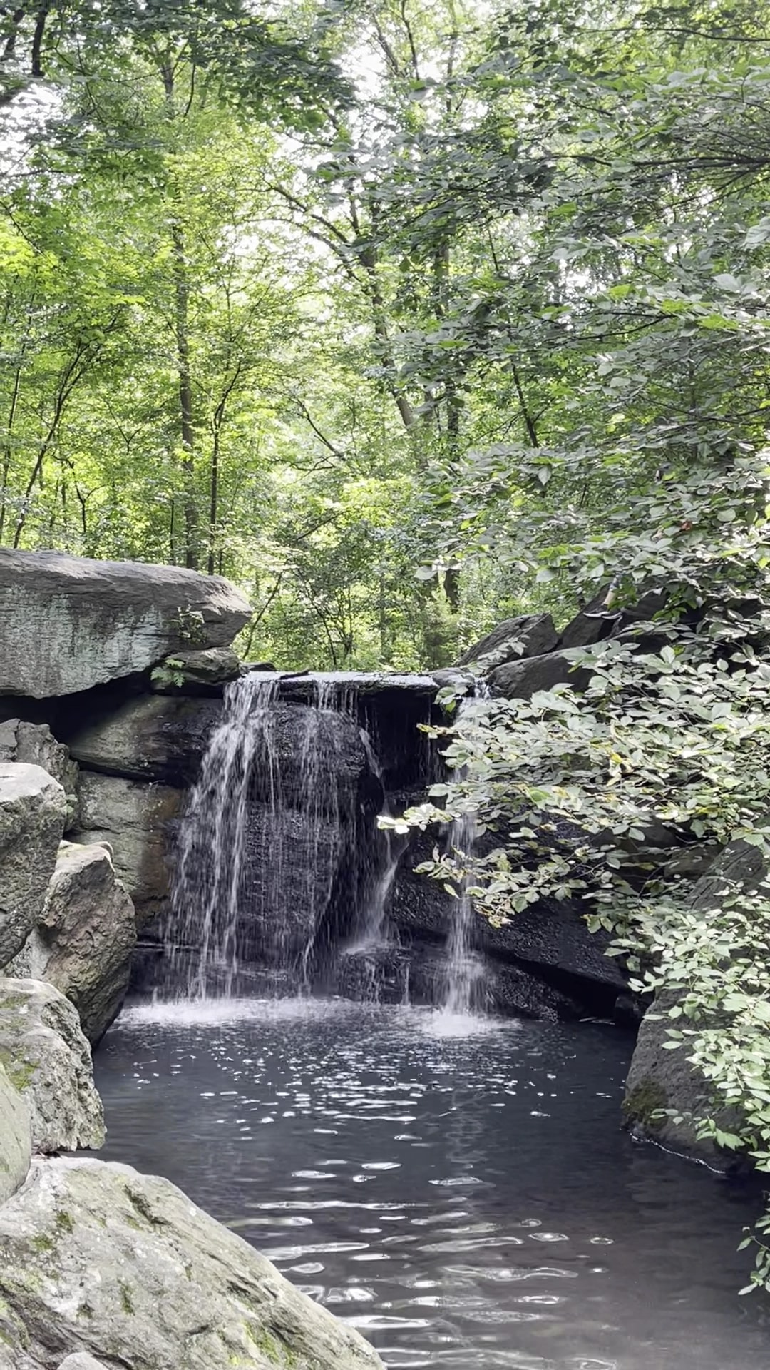 The Loch - New York, NY