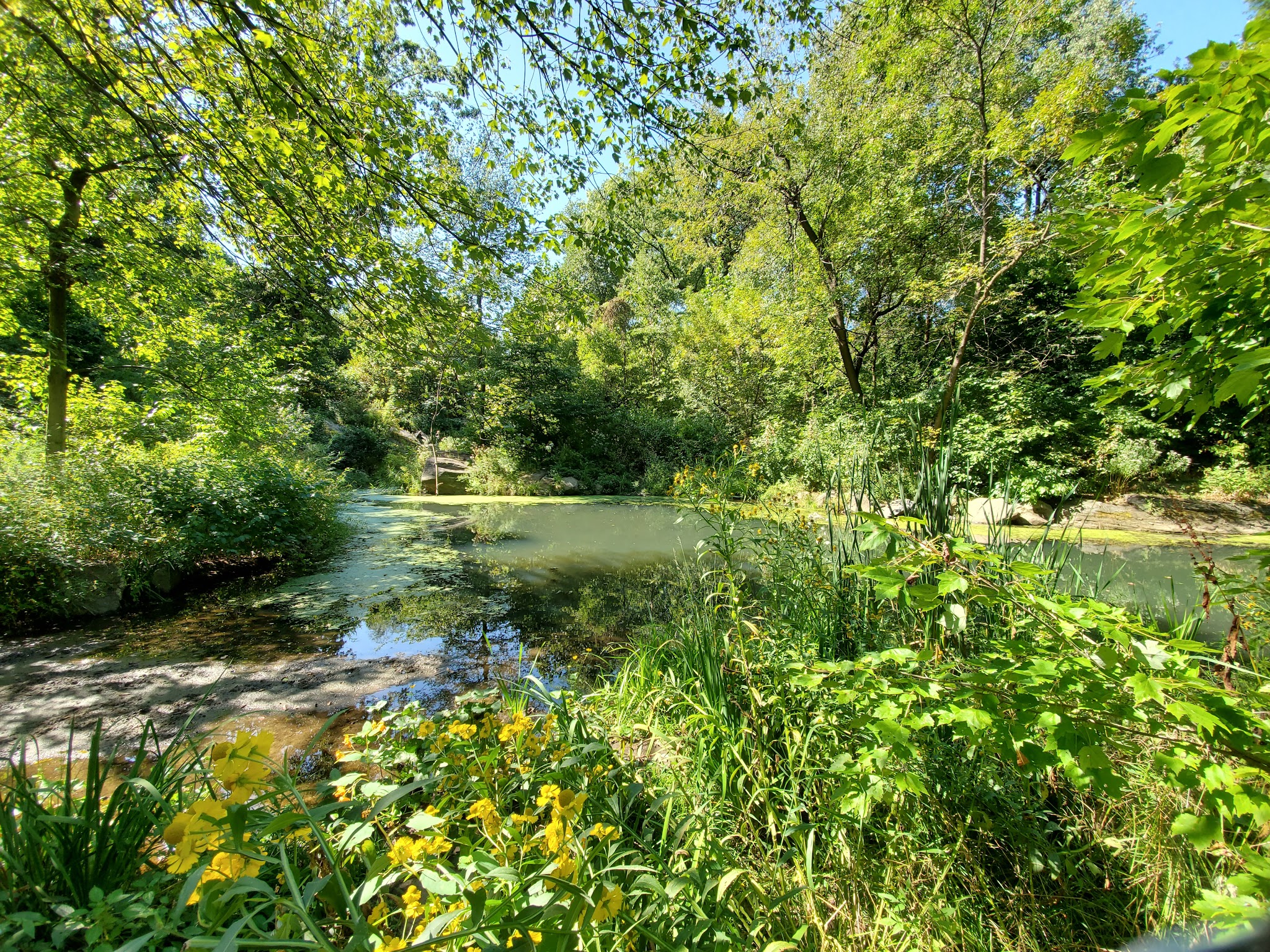 The Loch - New York, NY