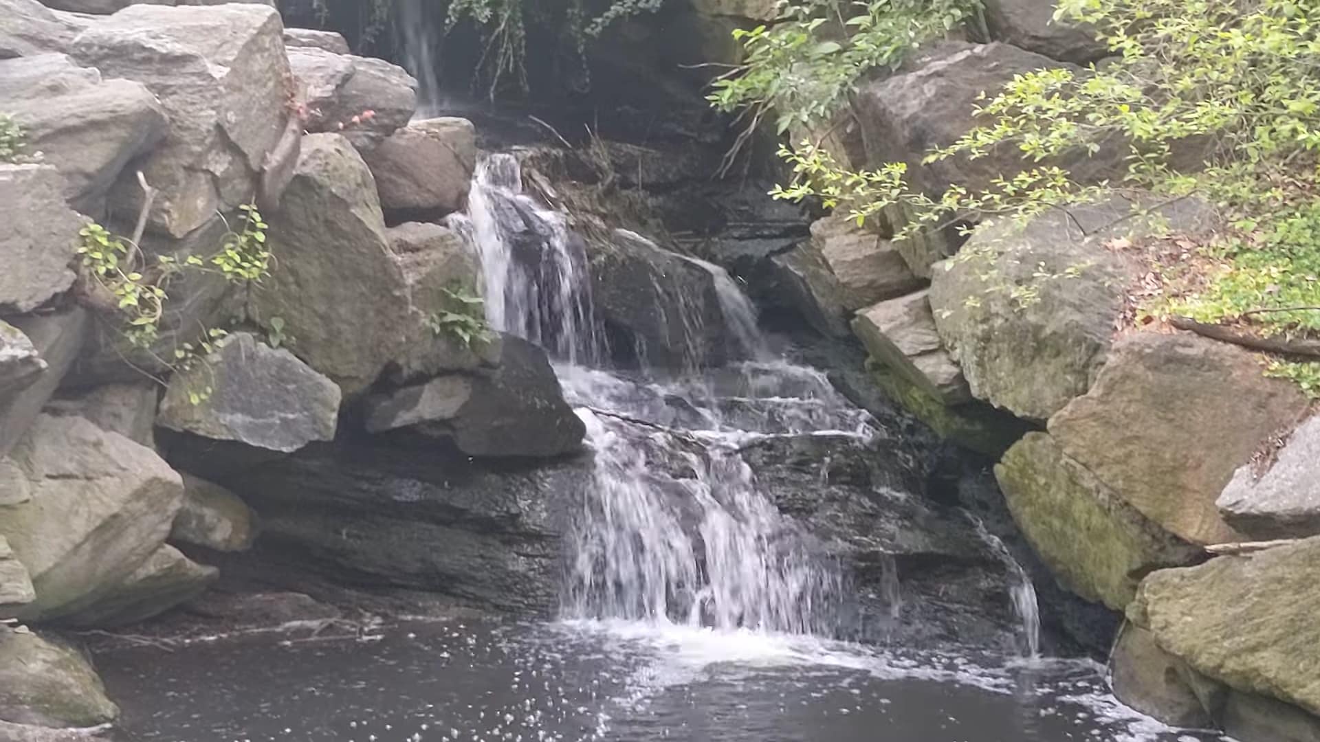 The Loch - New York, NY