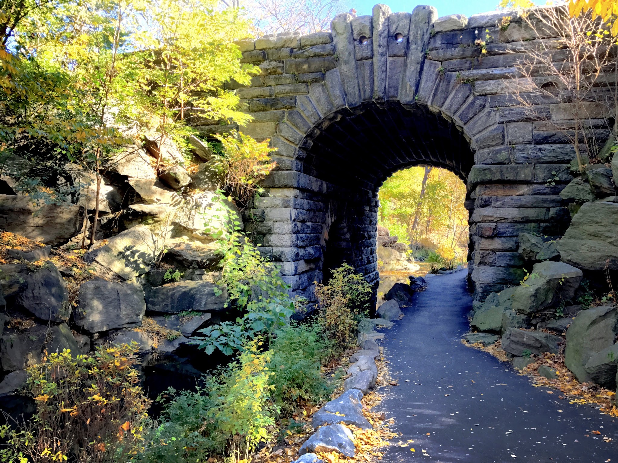 The Loch - New York, NY