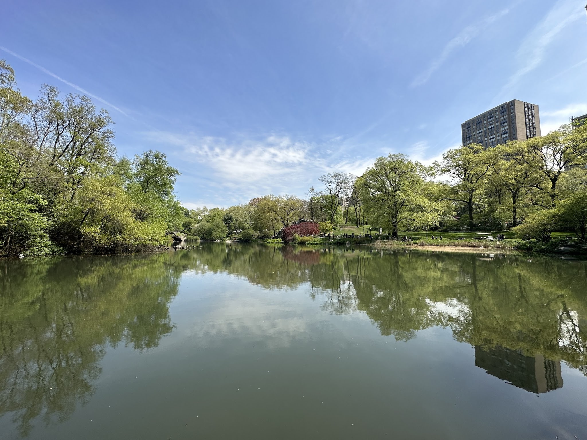 The Pond at Central Park - New York, NY