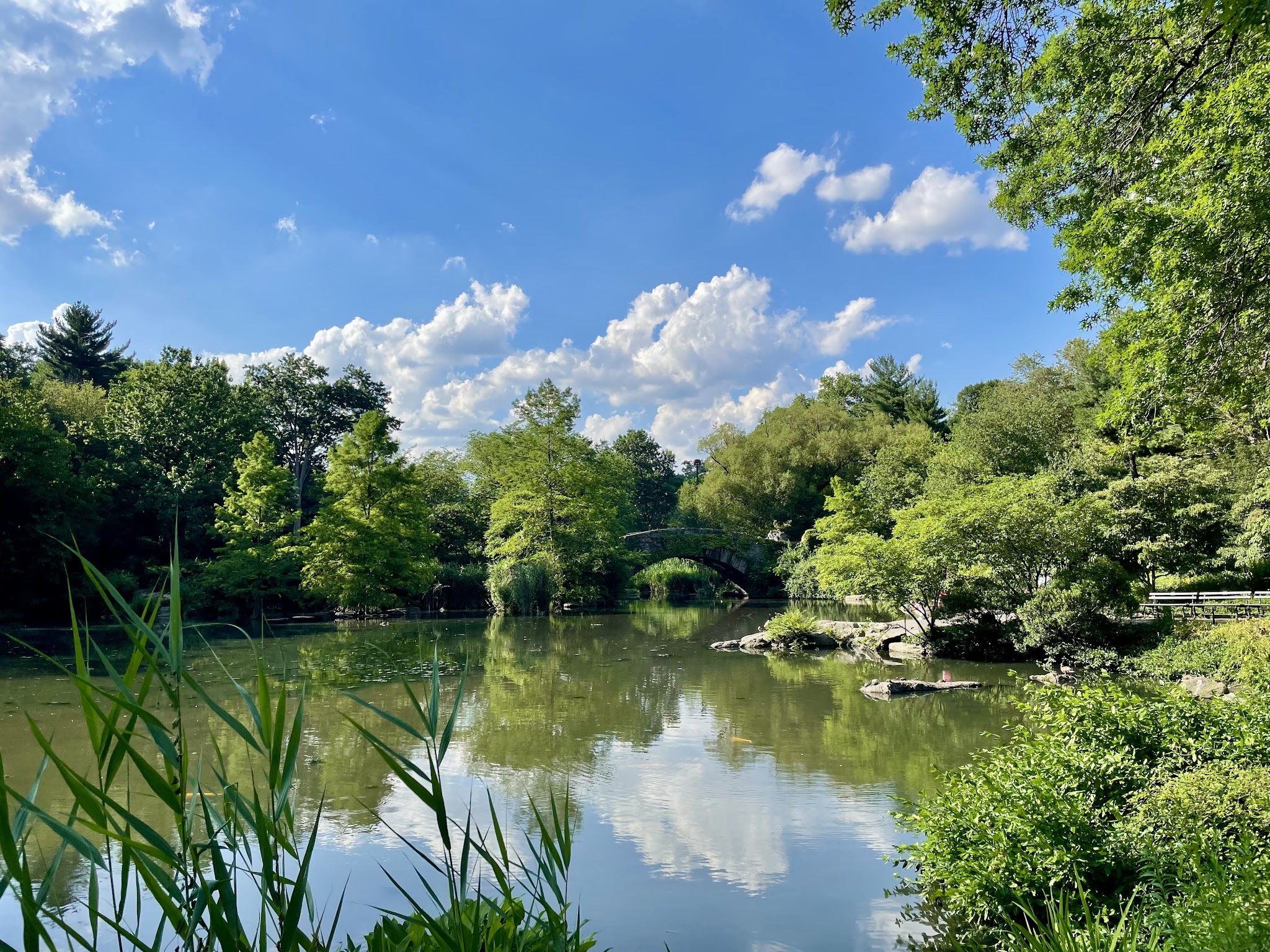 The Pond at Central Park - New York, NY