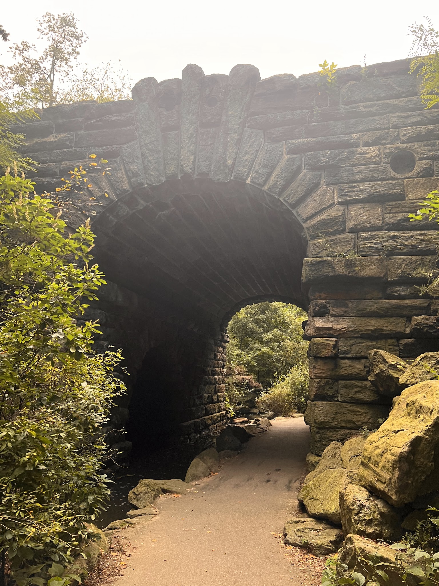 The Ravine (Waterfall) - New York, NY