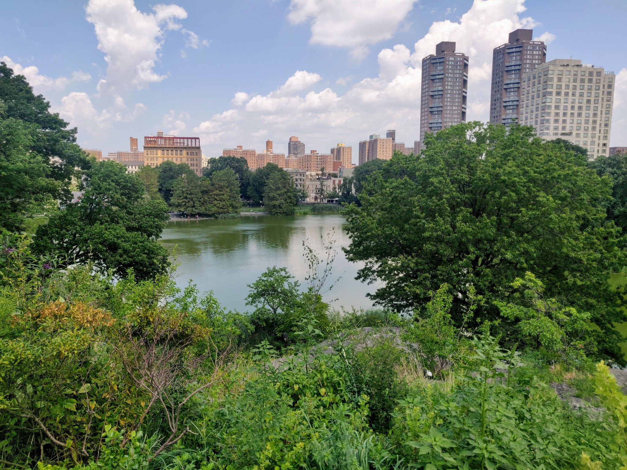 The Ravine (Waterfall) - New York, NY