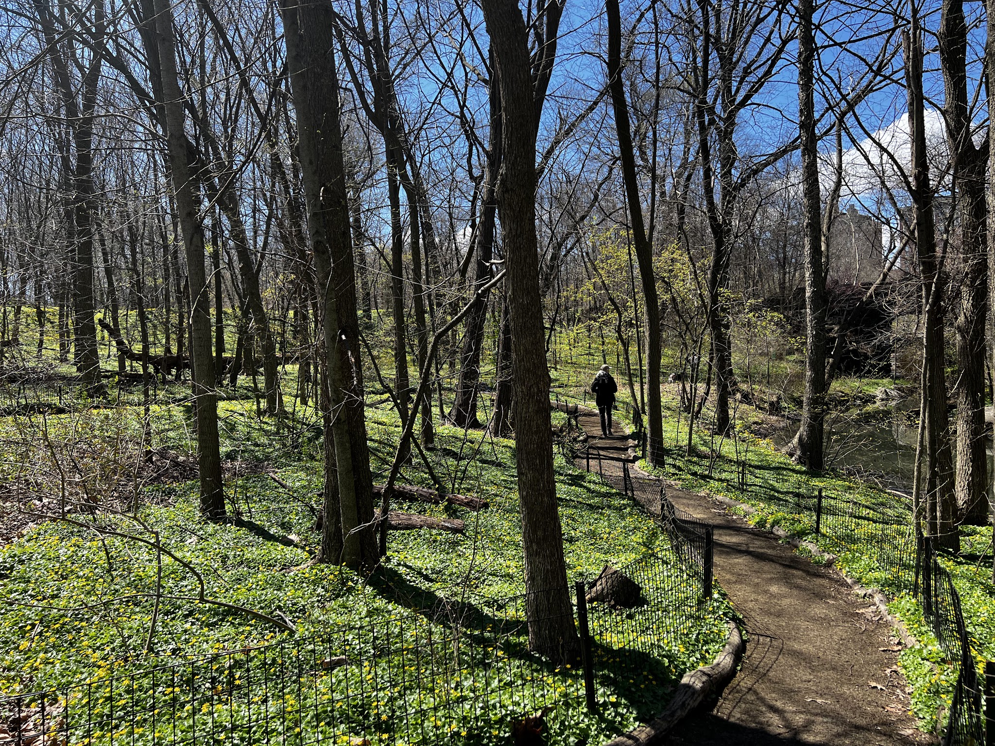 The Ravine (Waterfall) - New York, NY