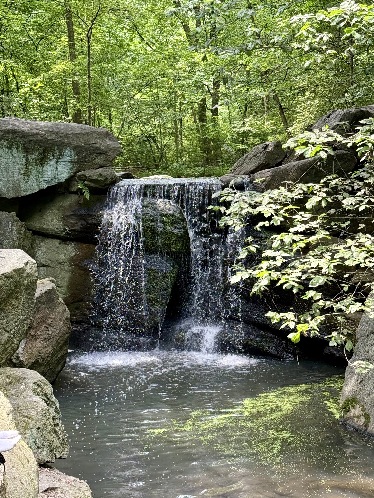 The Ravine (Waterfall) - New York, NY