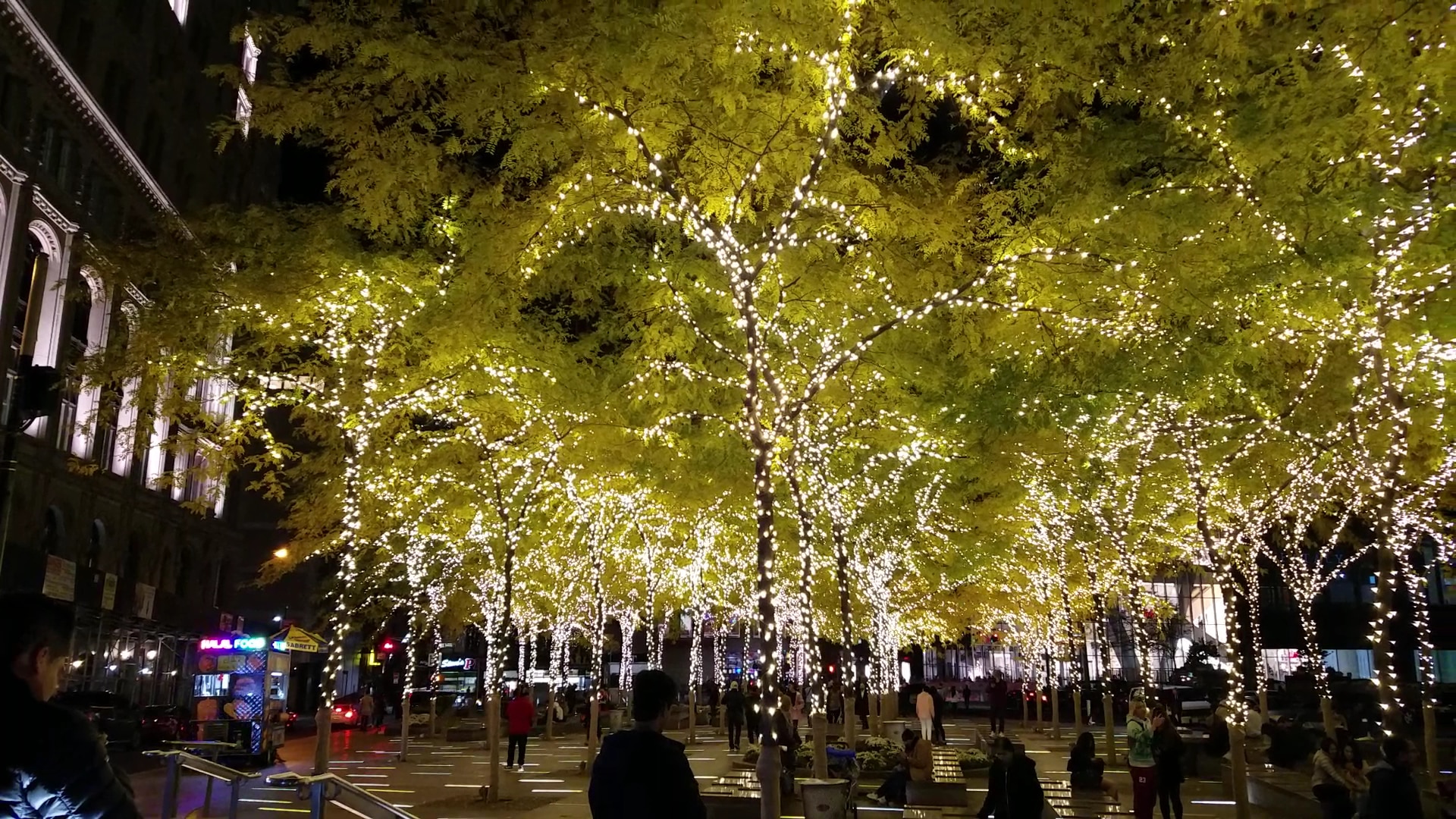Zuccotti Park - New York, NY