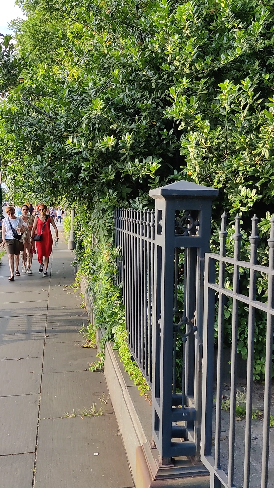 Canal Park - New York, NY