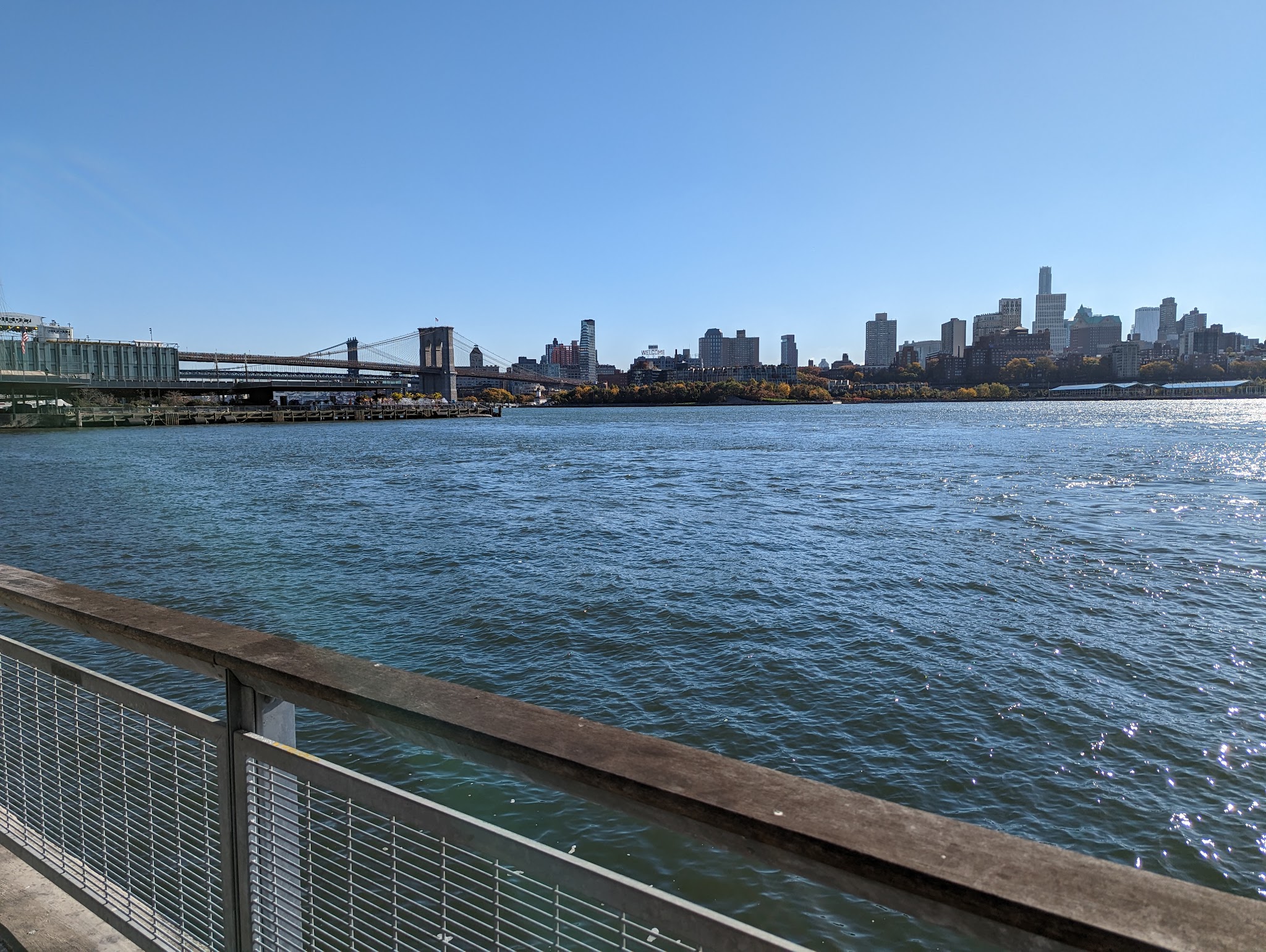 Dog Park East River Esplanade South - New York, NY