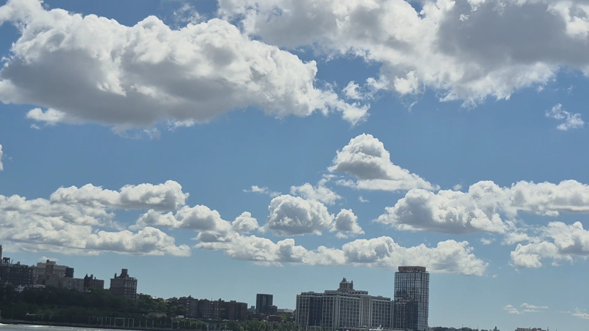 Dog Park East River Esplanade South - New York, NY