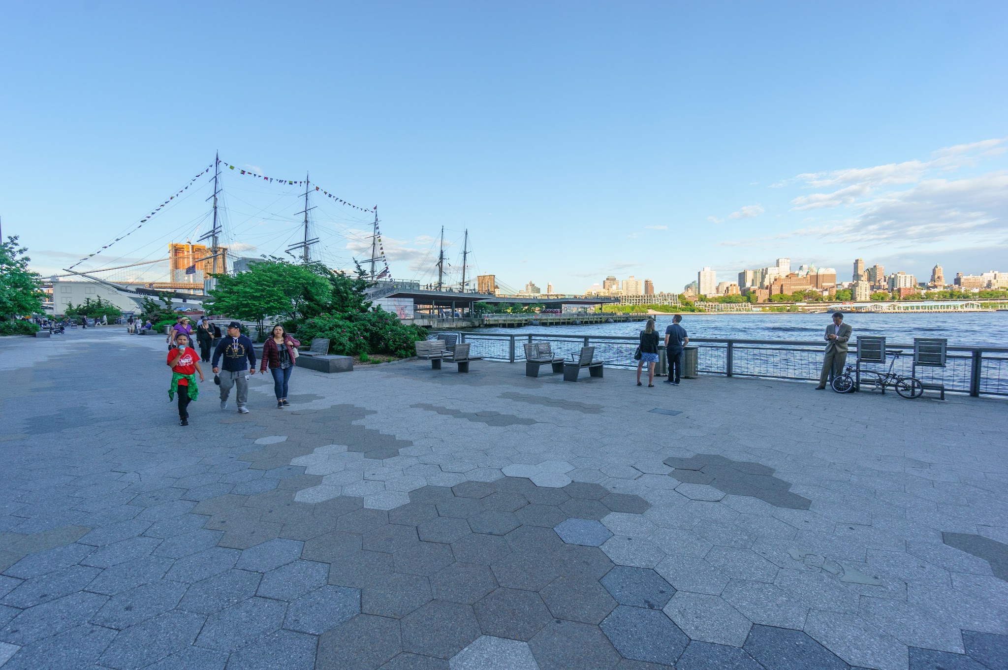 Dog Park East River Esplanade South - New York, NY