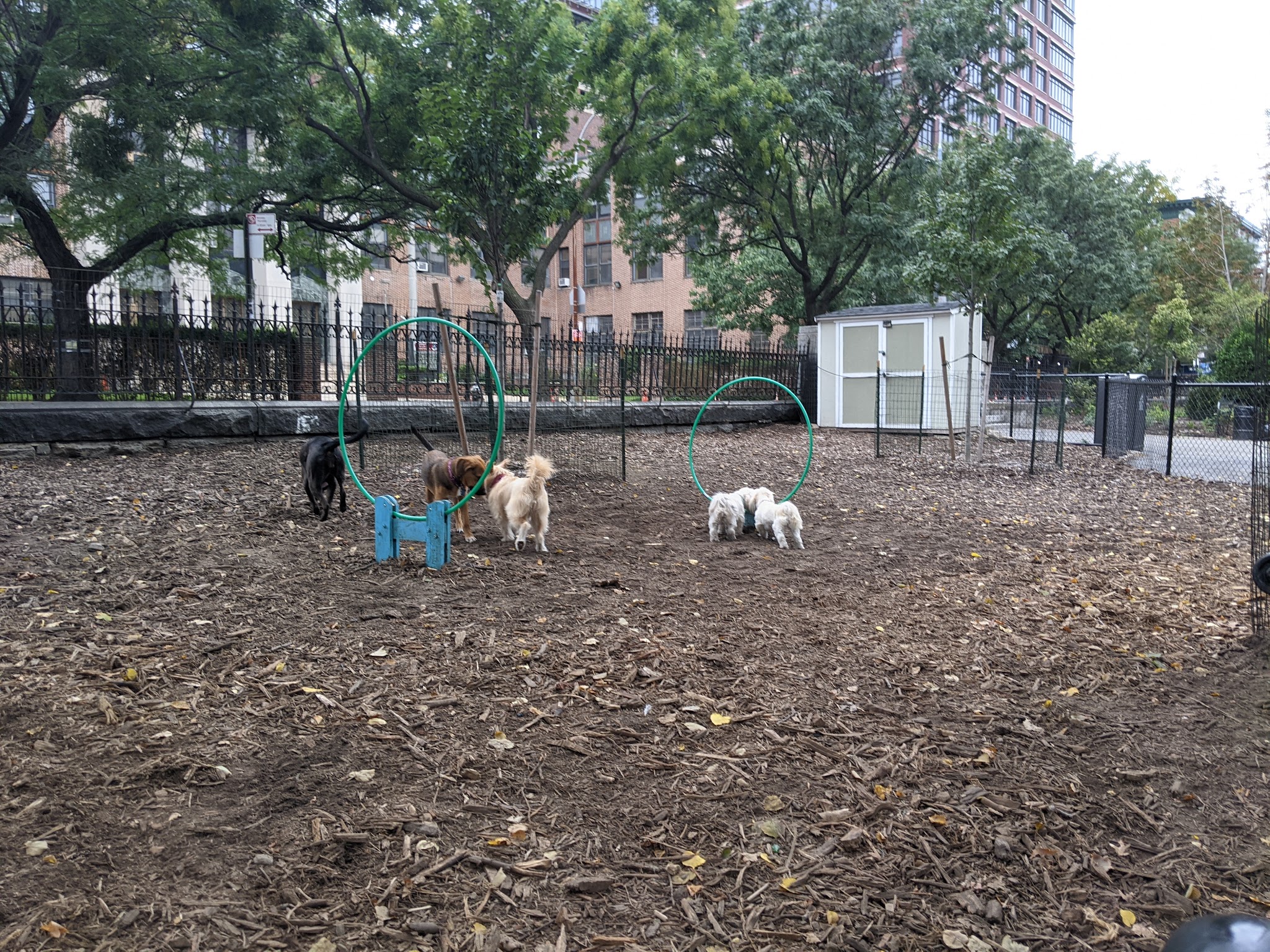 Marcus Garvey Dog Run - New York, NY