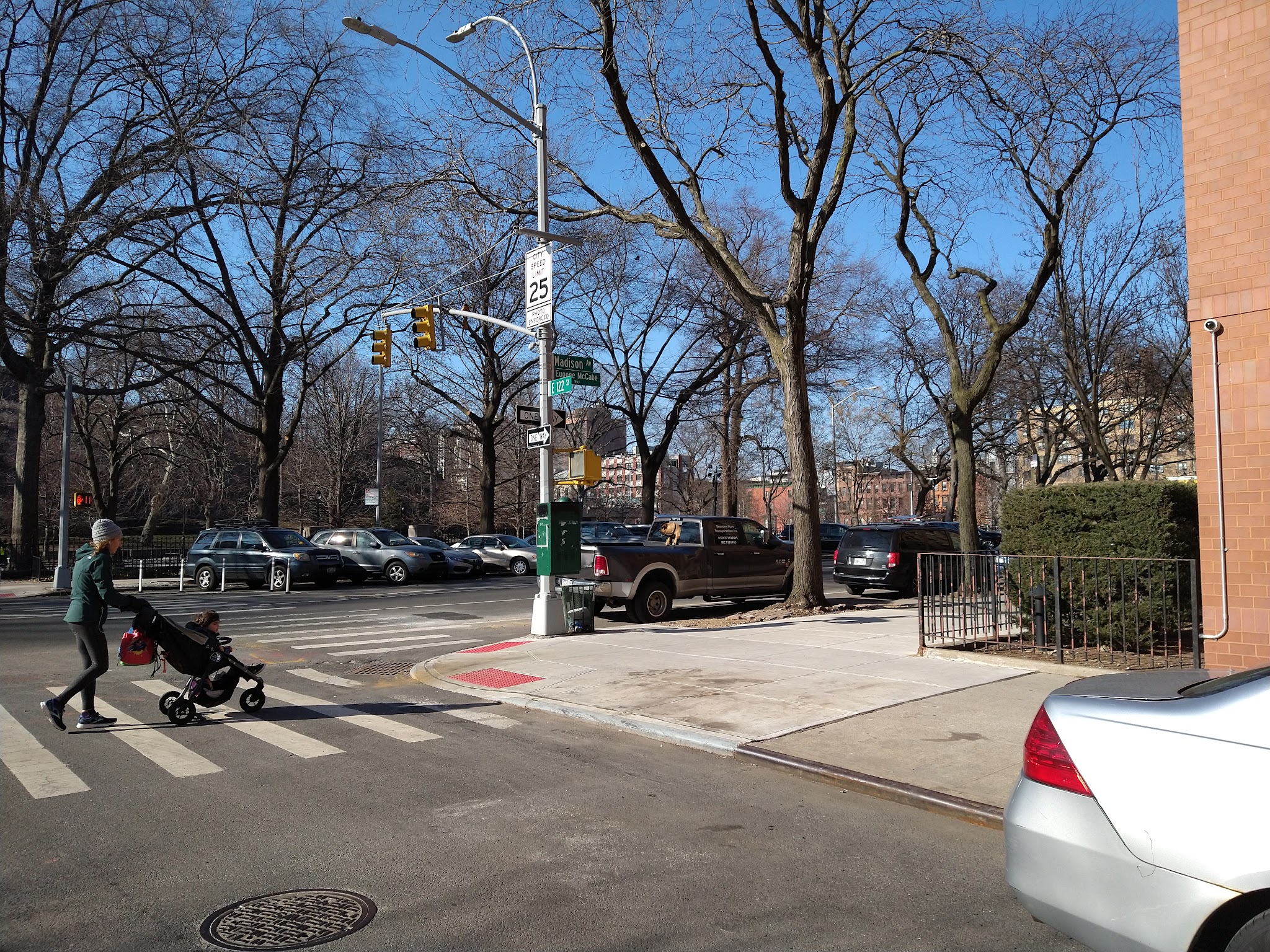 Marcus Garvey Dog Run - New York, NY