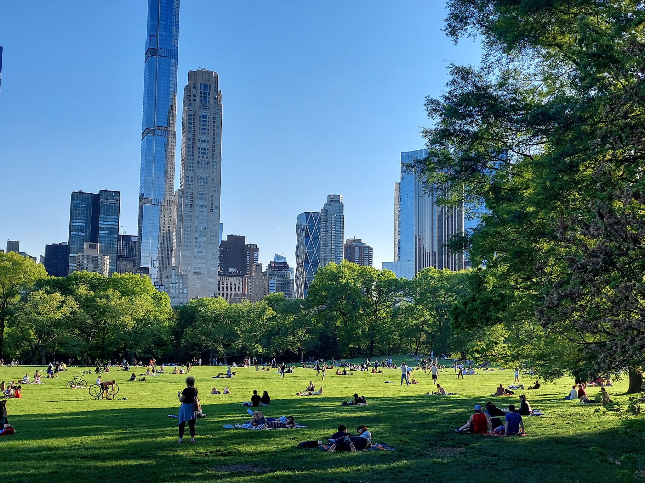 Sheep Meadow - New York, NY